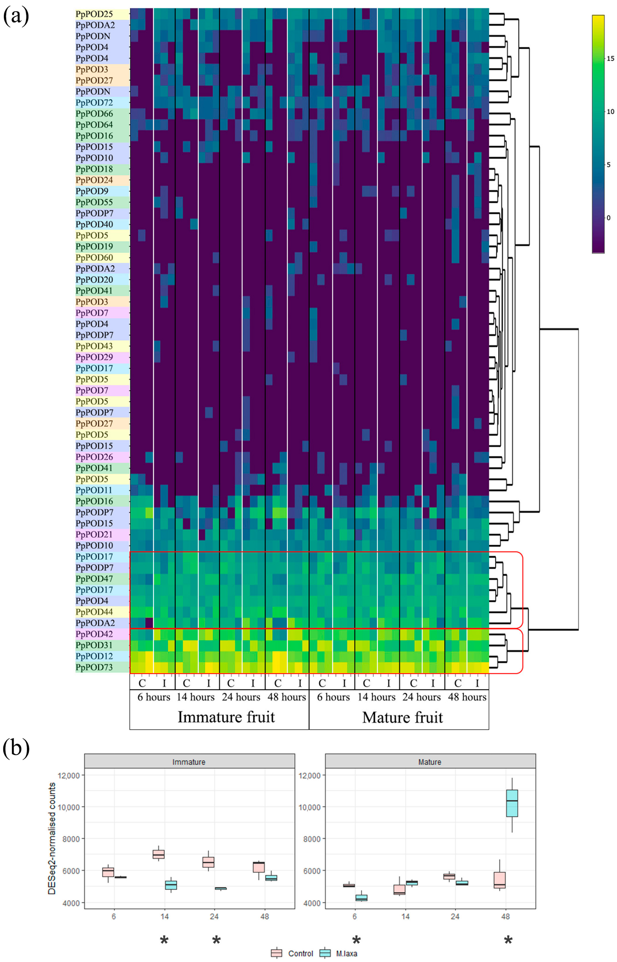 Plants 13 00127 g005