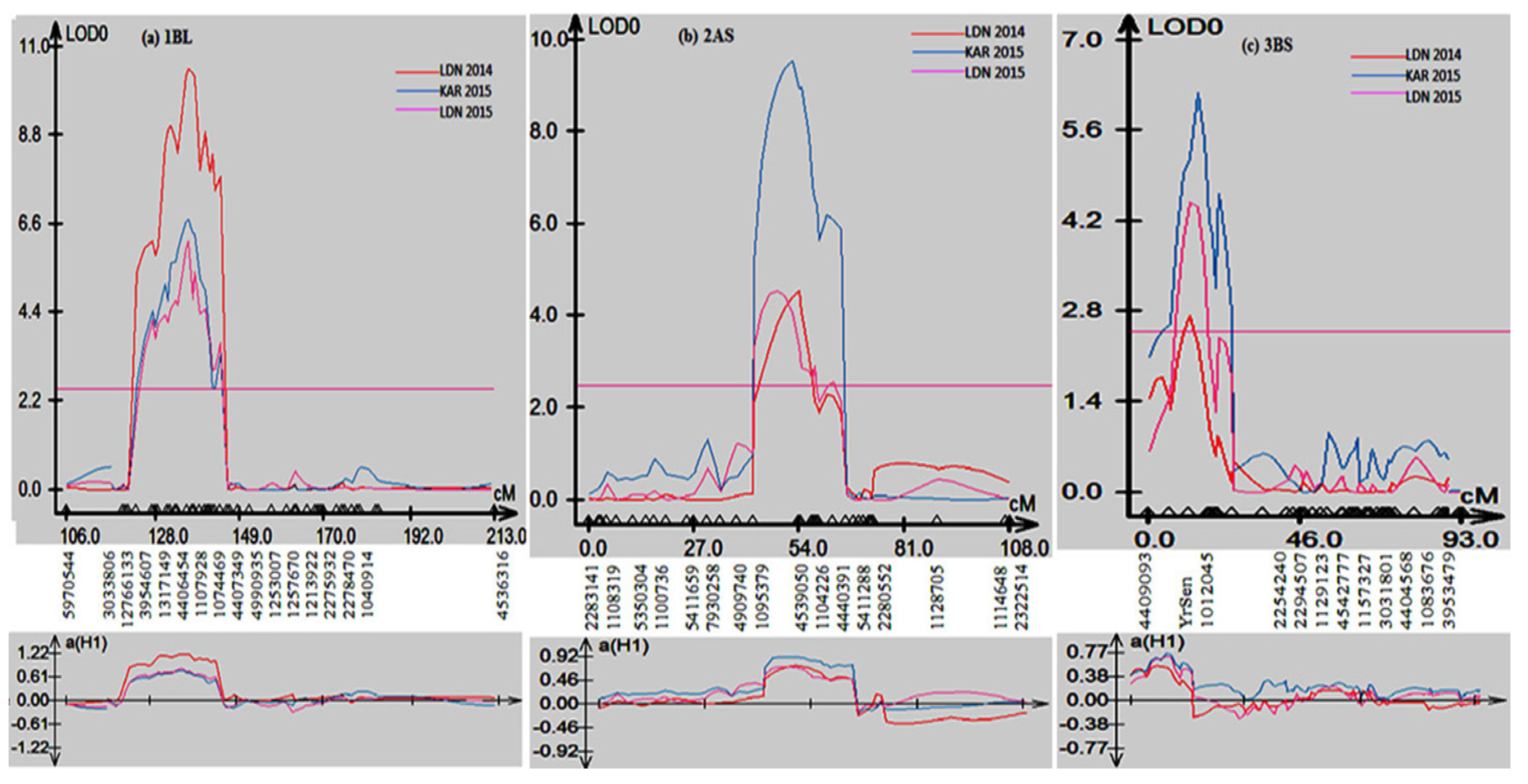Plants 13 00129 g003