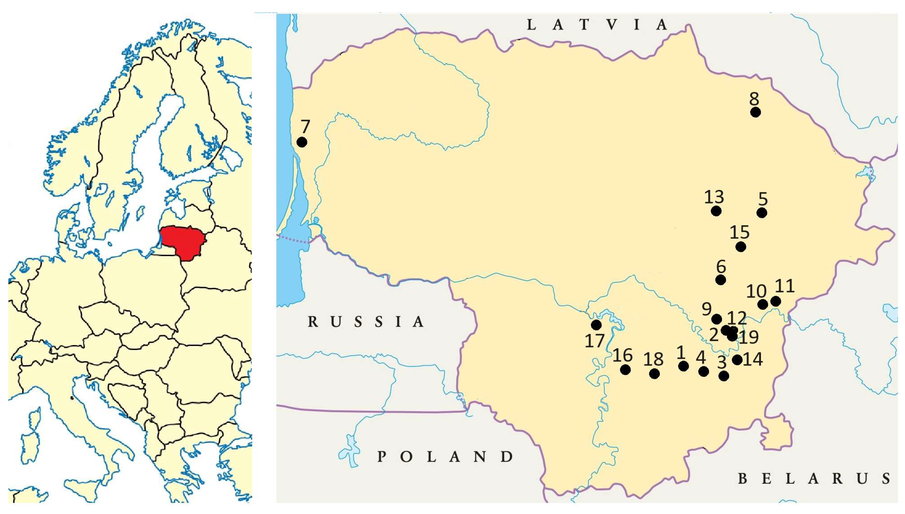 Plants 13 00132 g006