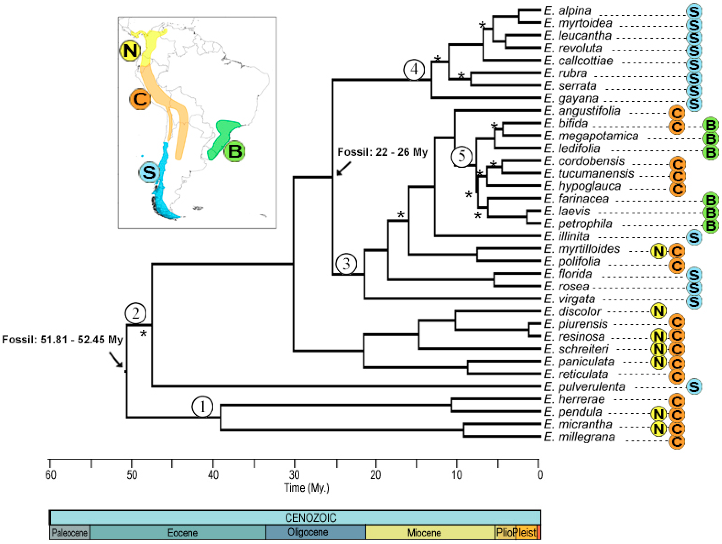 Plants 13 00133 g002