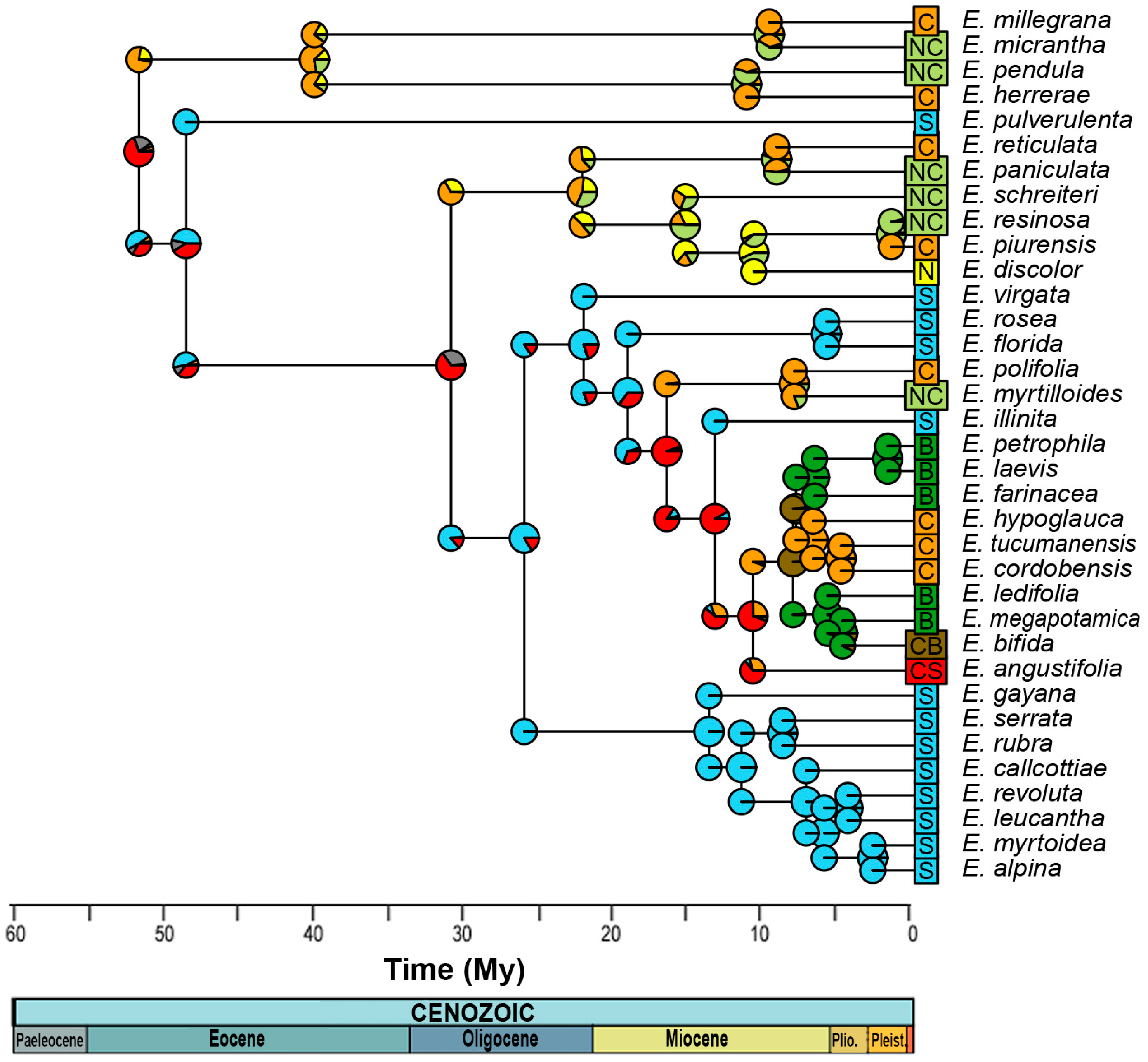Plants 13 00133 g004