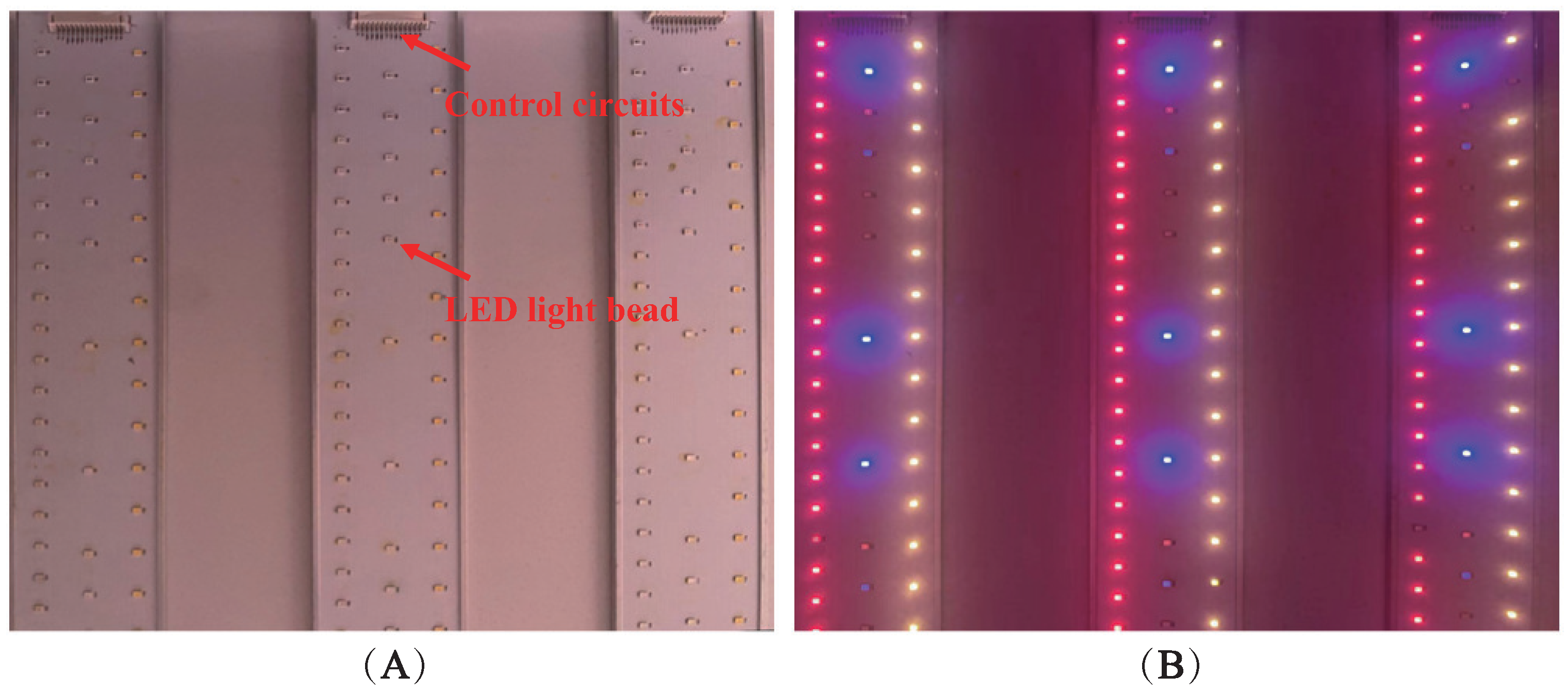 Plants 13 00149 g005