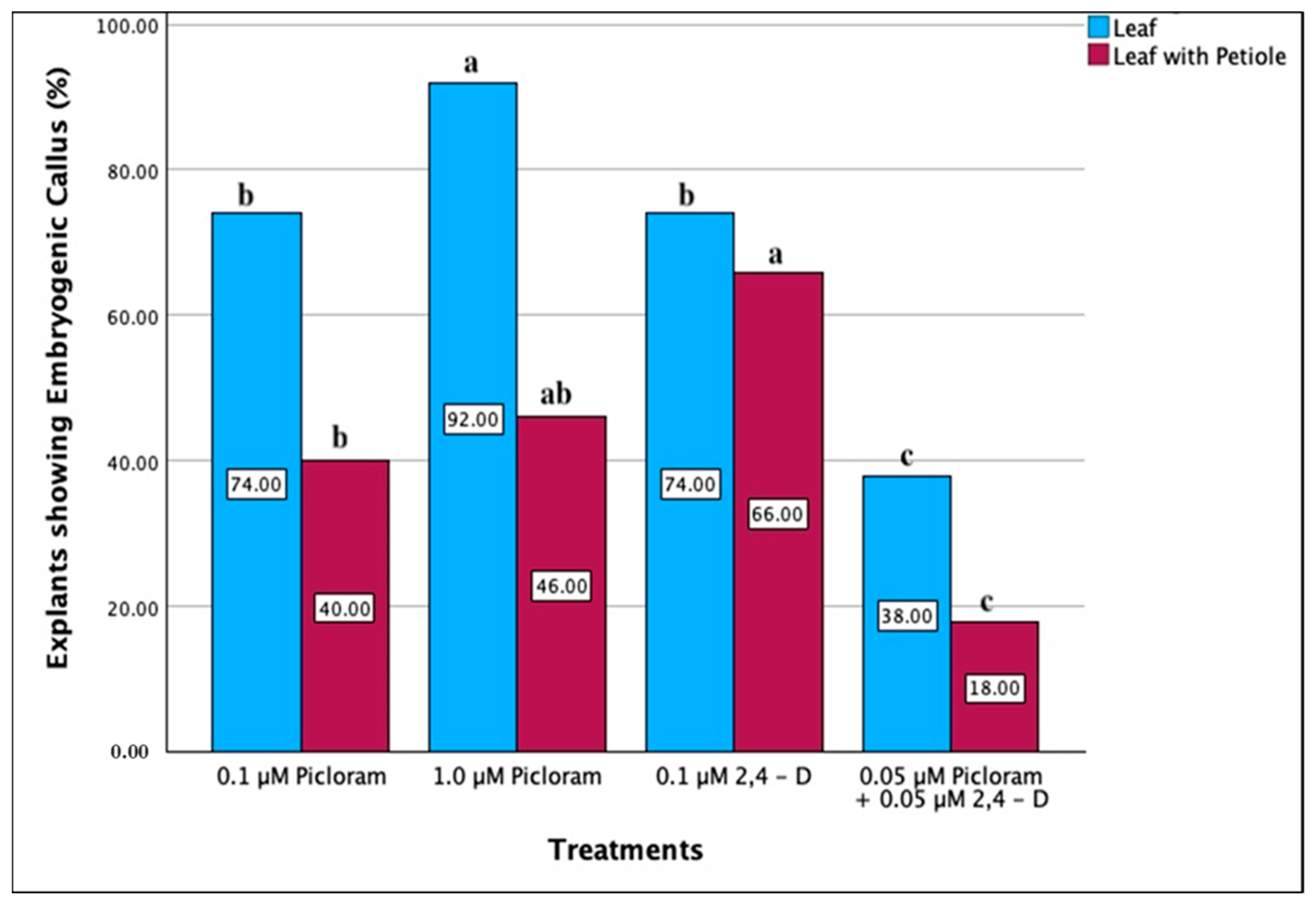 Plants 13 00151 g001