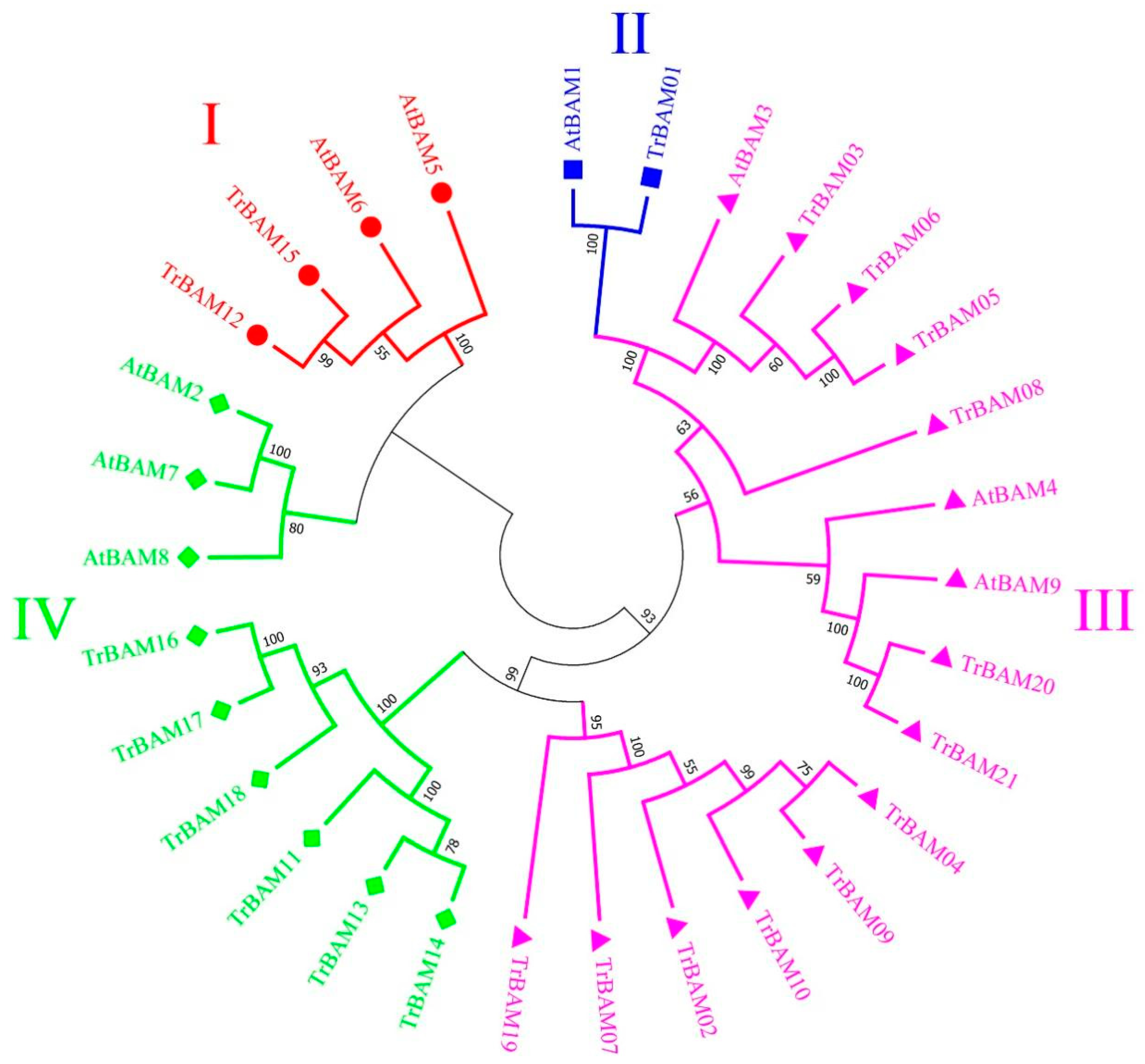 Plants 13 00154 g001
