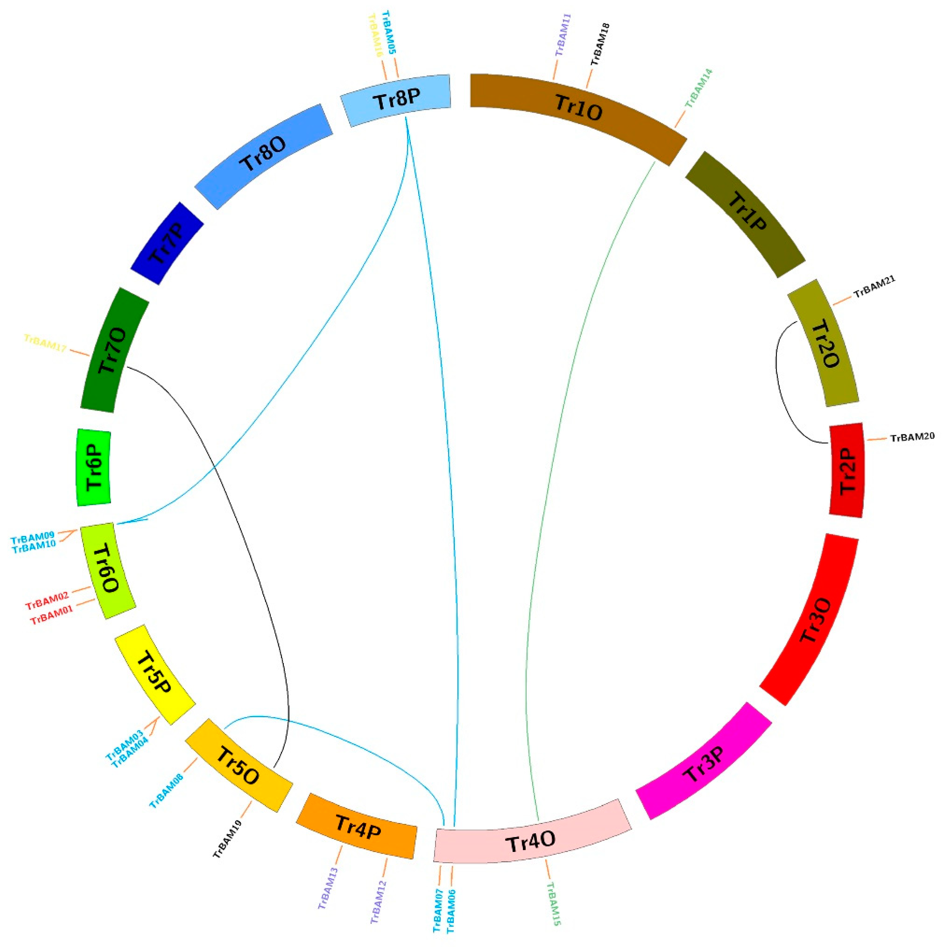 Plants 13 00154 g004