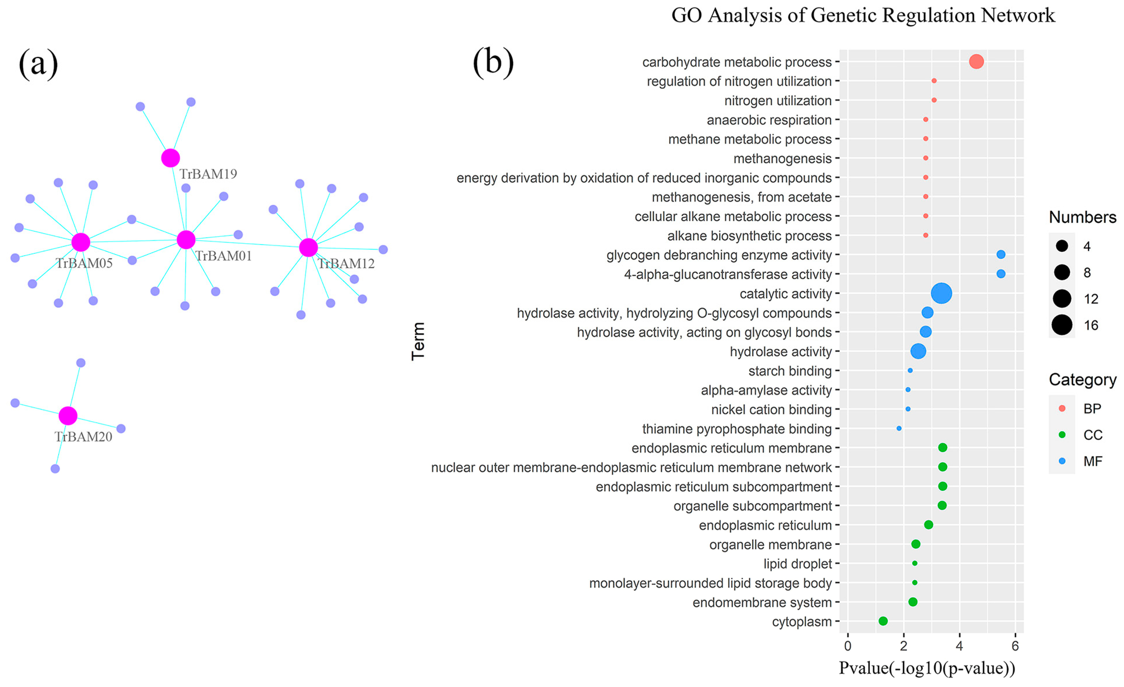 Plants 13 00154 g006