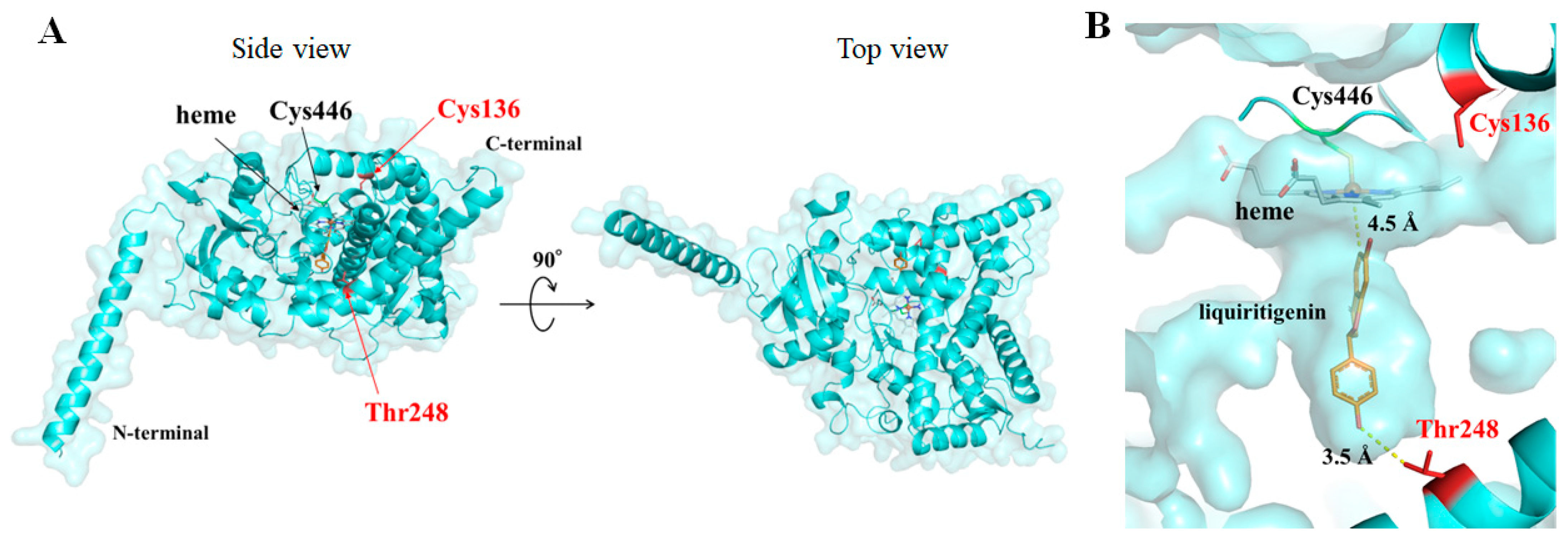 Plants 13 00156 g004 Plants 13 00156 g004