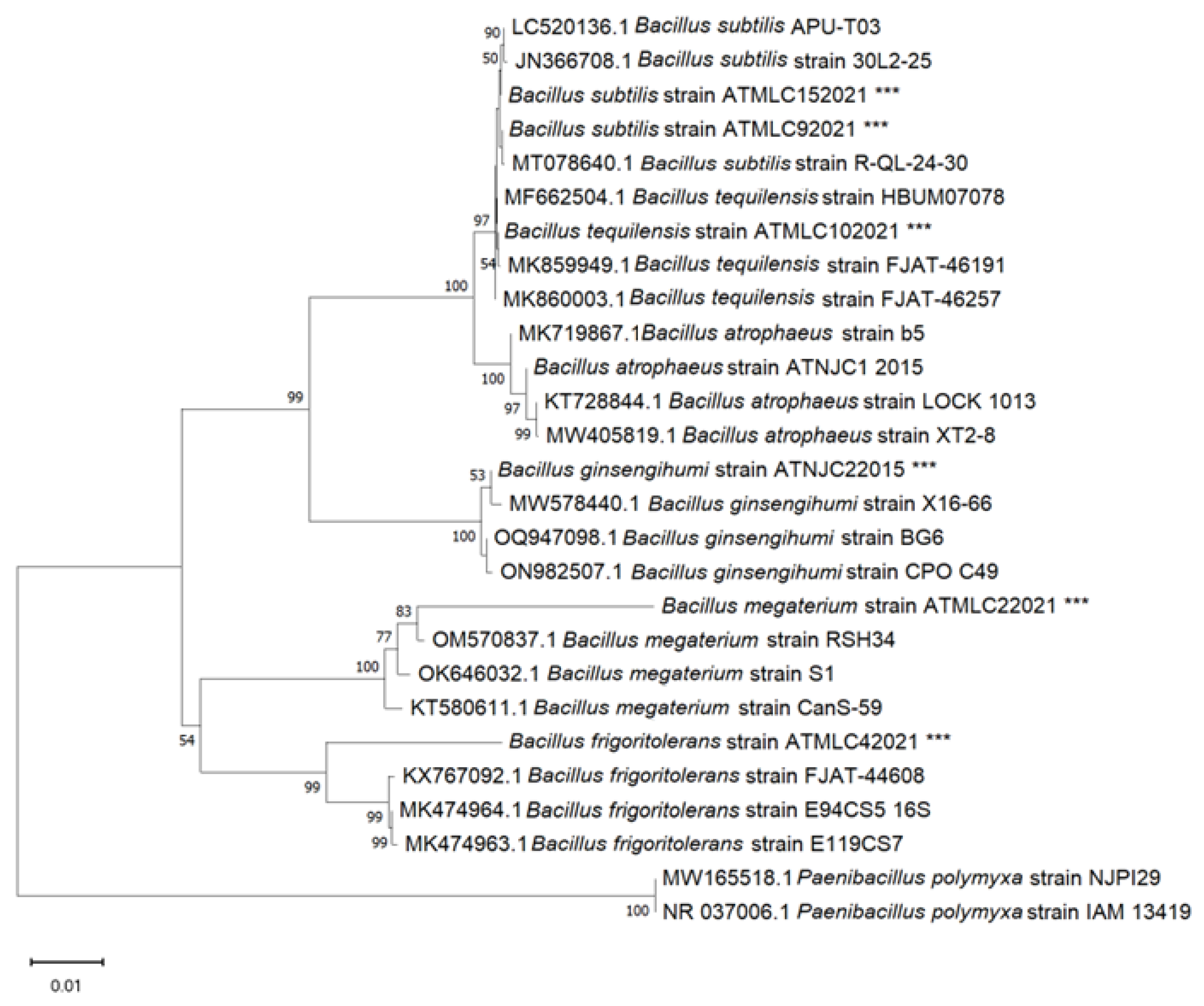 Plants 13 00158 g001