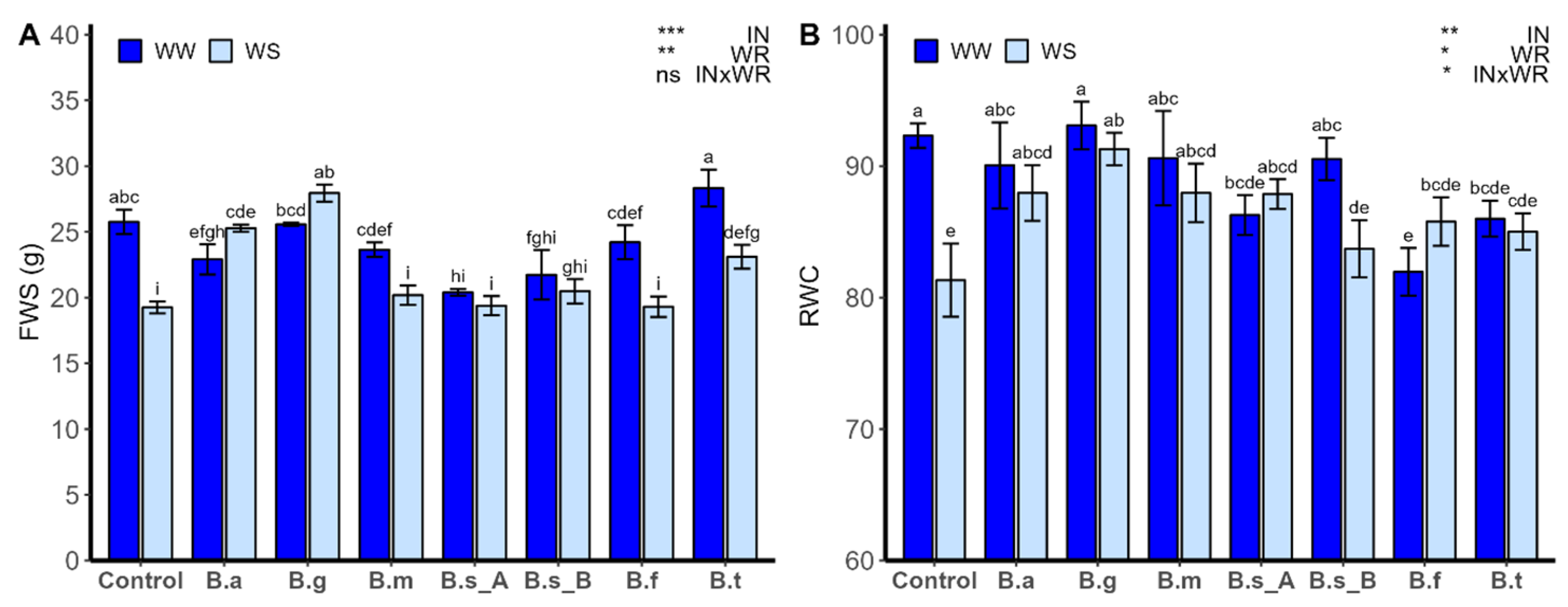Plants 13 00158 g003