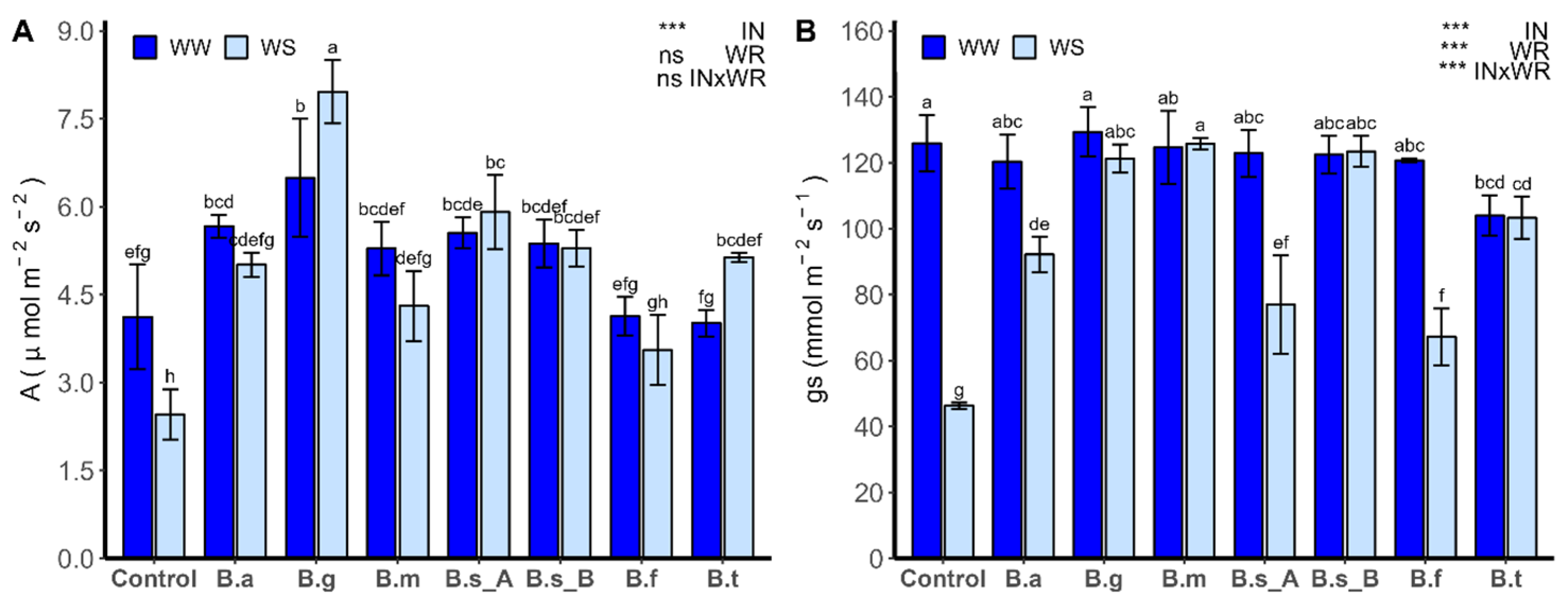 Plants 13 00158 g006