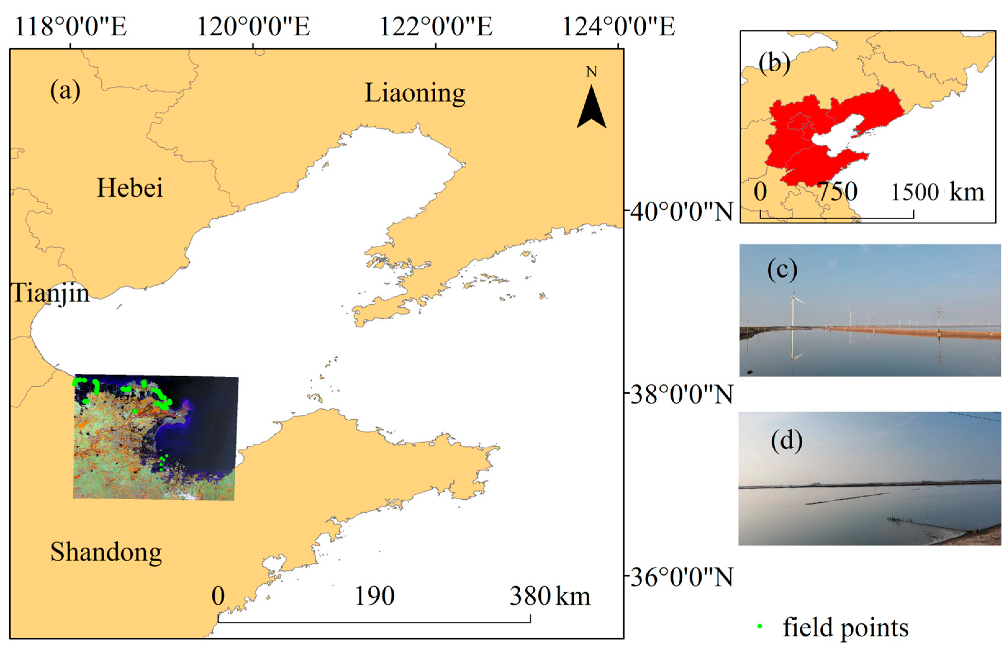 Plants 13 00160 g001