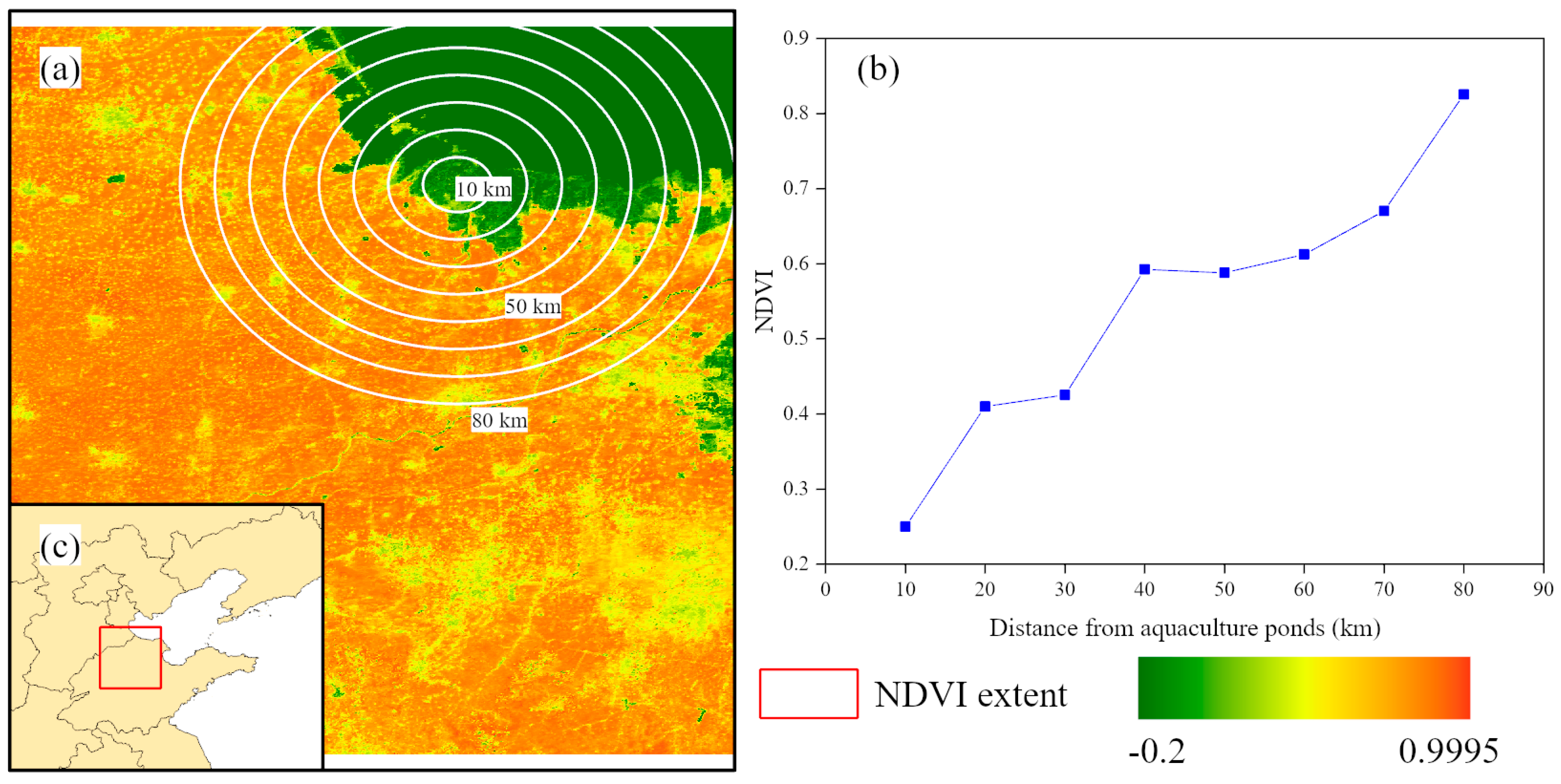 Plants 13 00160 g006