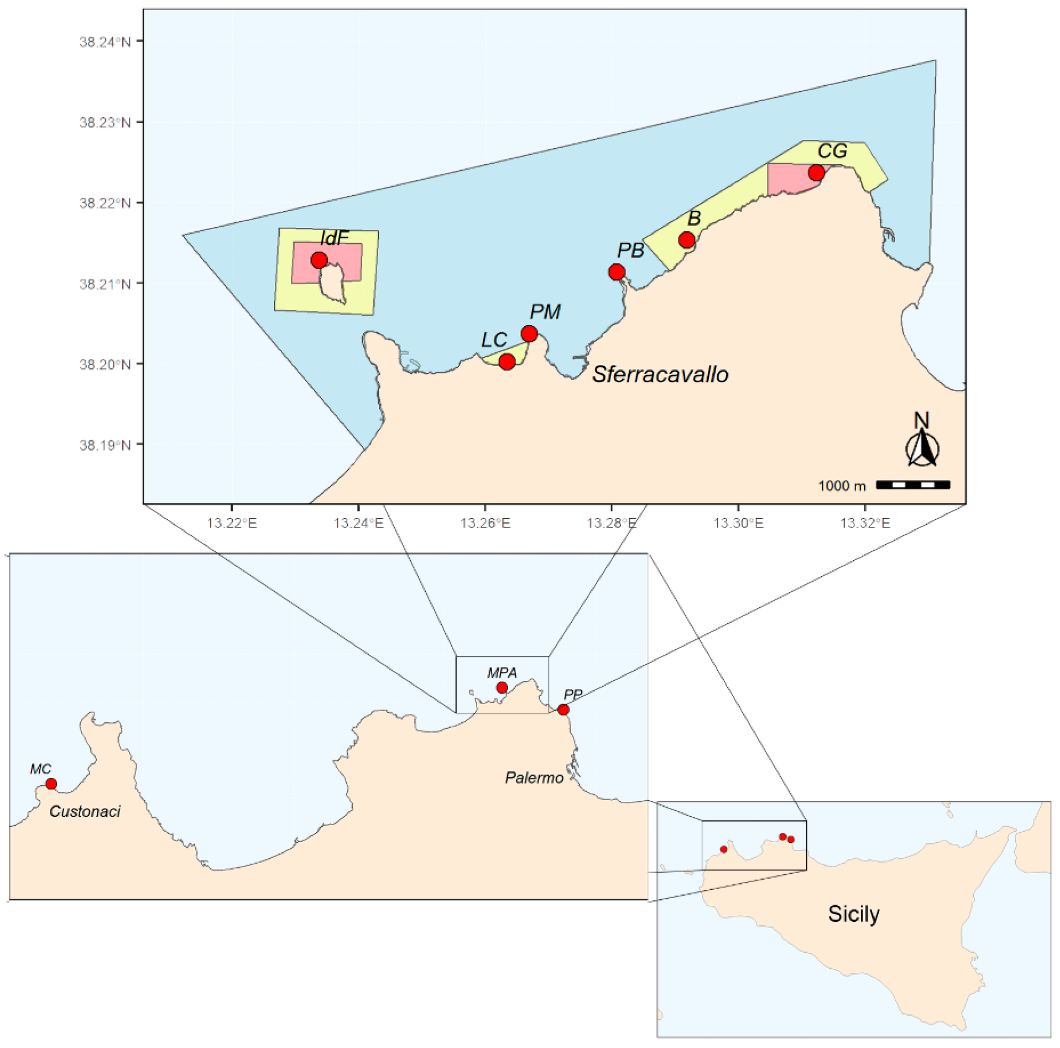 Plants 13 00162 g001