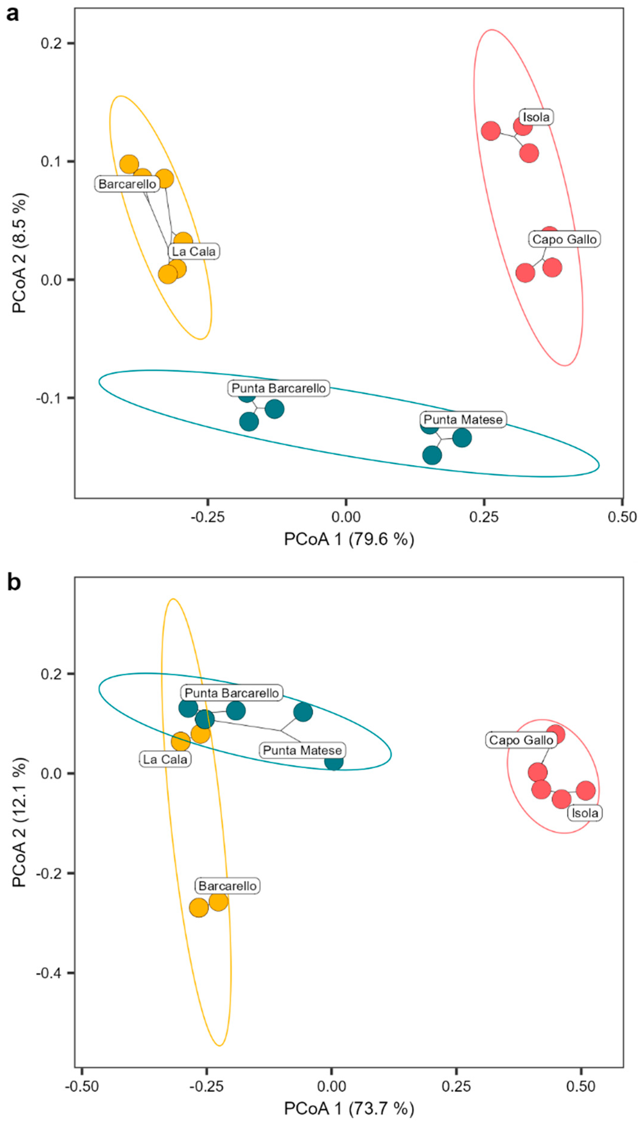 Plants 13 00162 g003