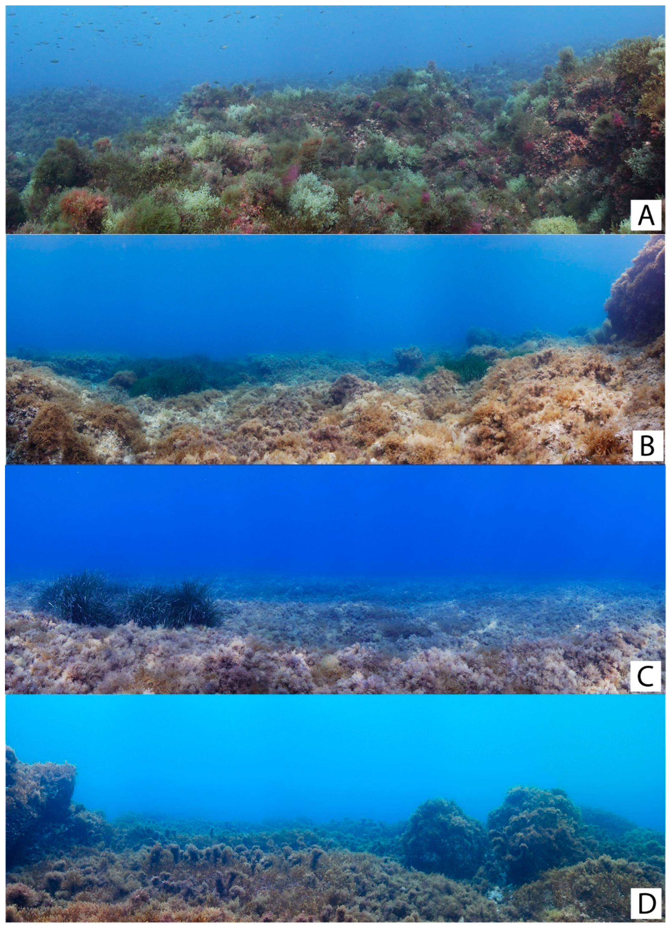 Plants 13 00162 g007