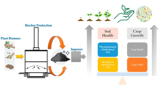 Biochar Production and Characteristics, Its Impacts on Soil Health ...