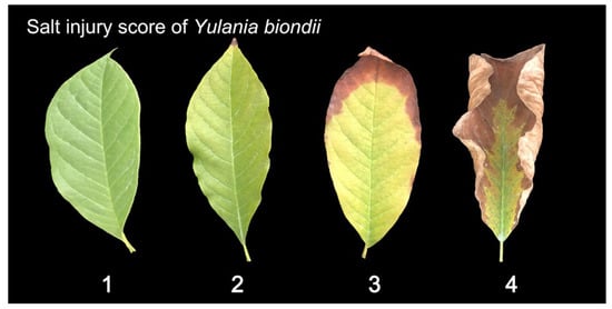 Plants 13 00170 g010