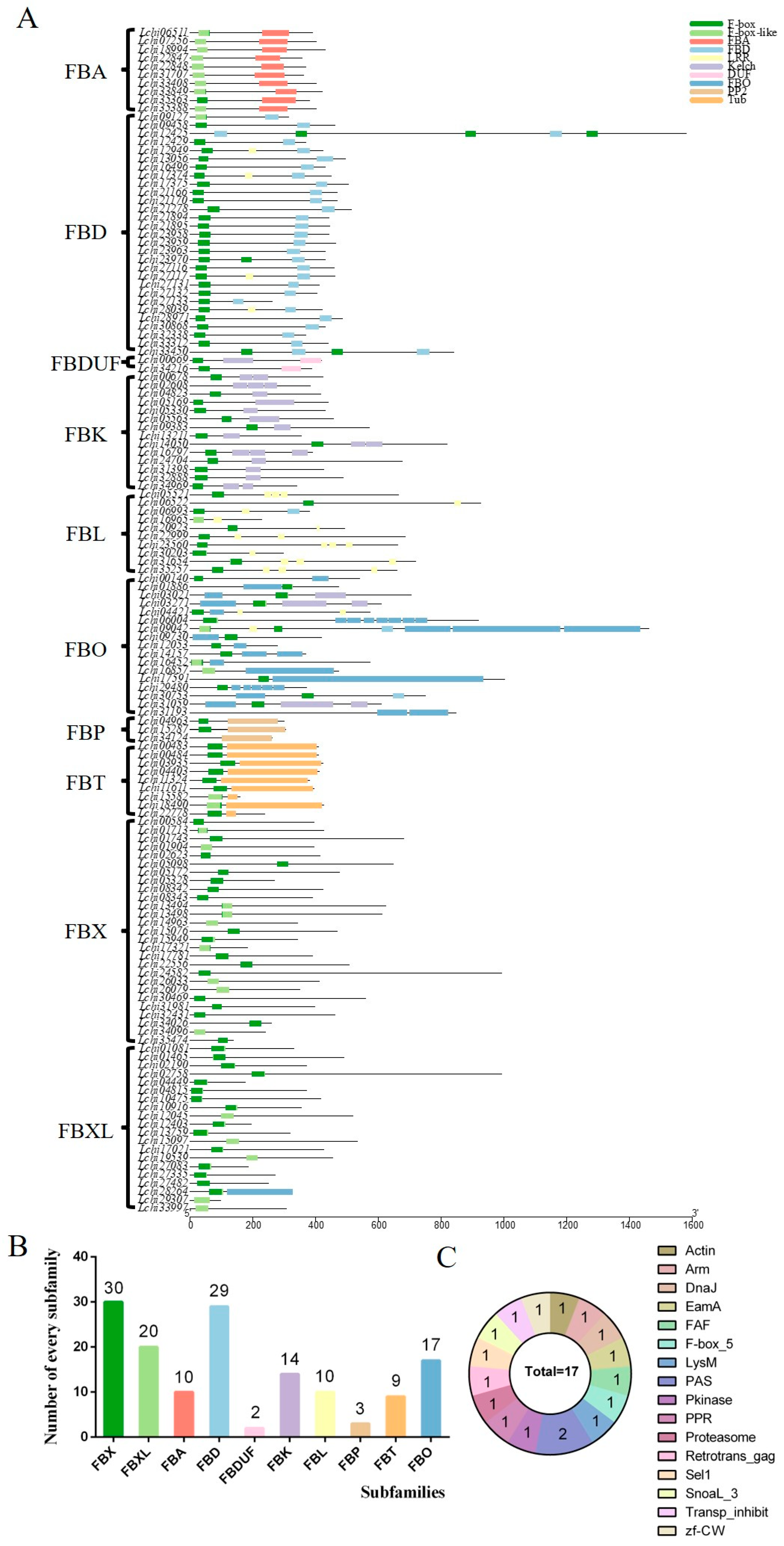 Plants 13 00171 g002