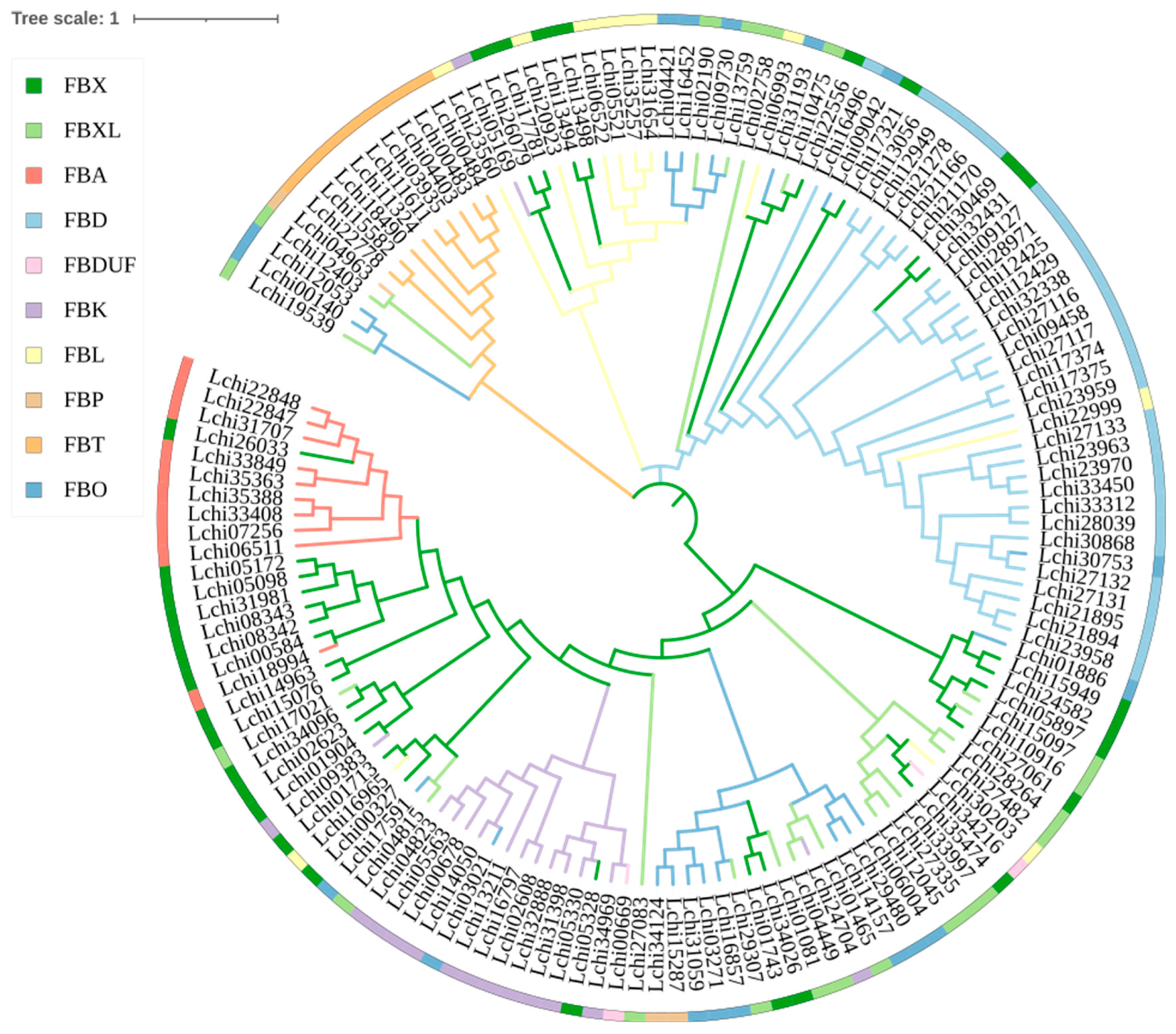Plants 13 00171 g003