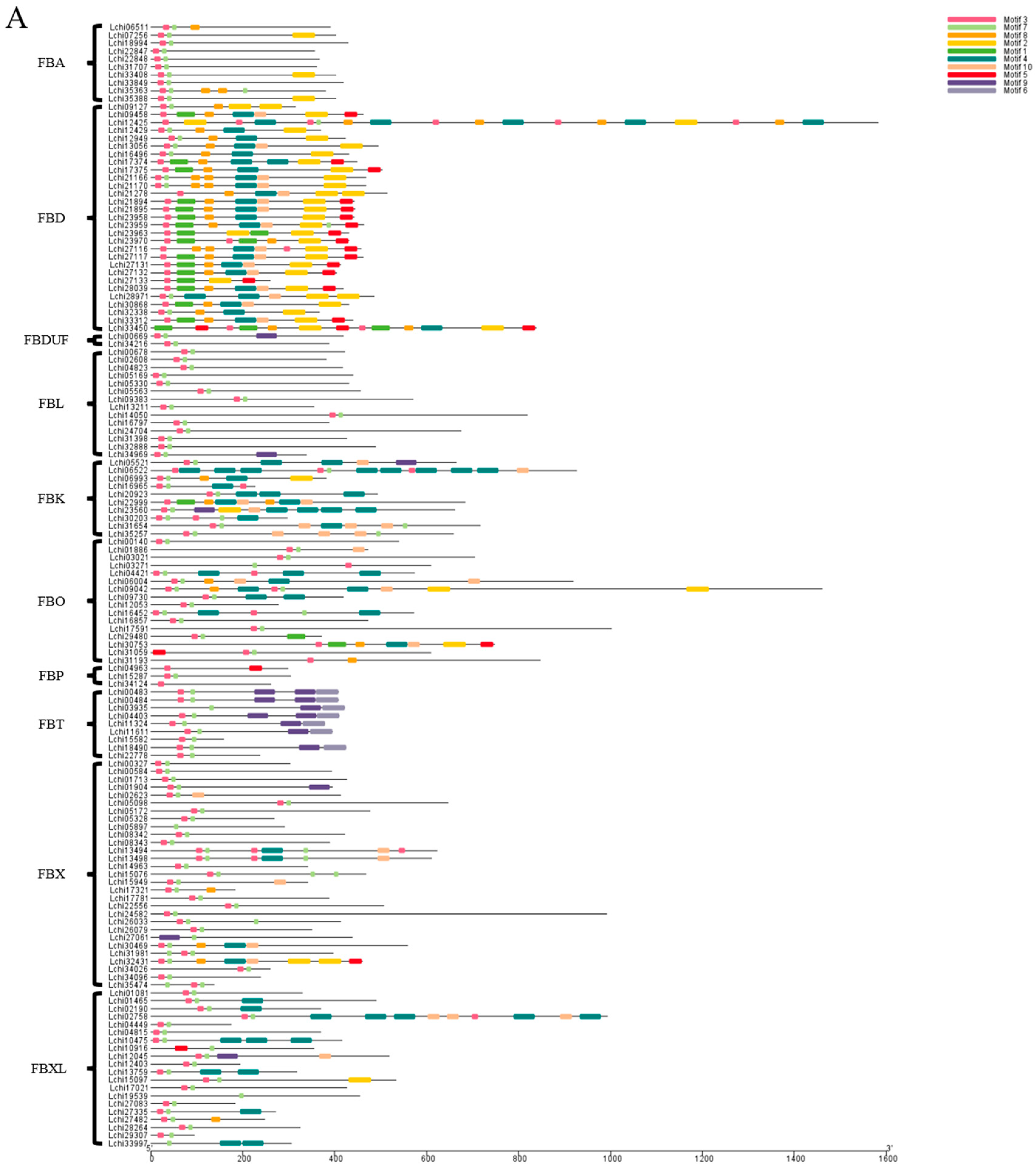 Plants 13 00171 g004a
