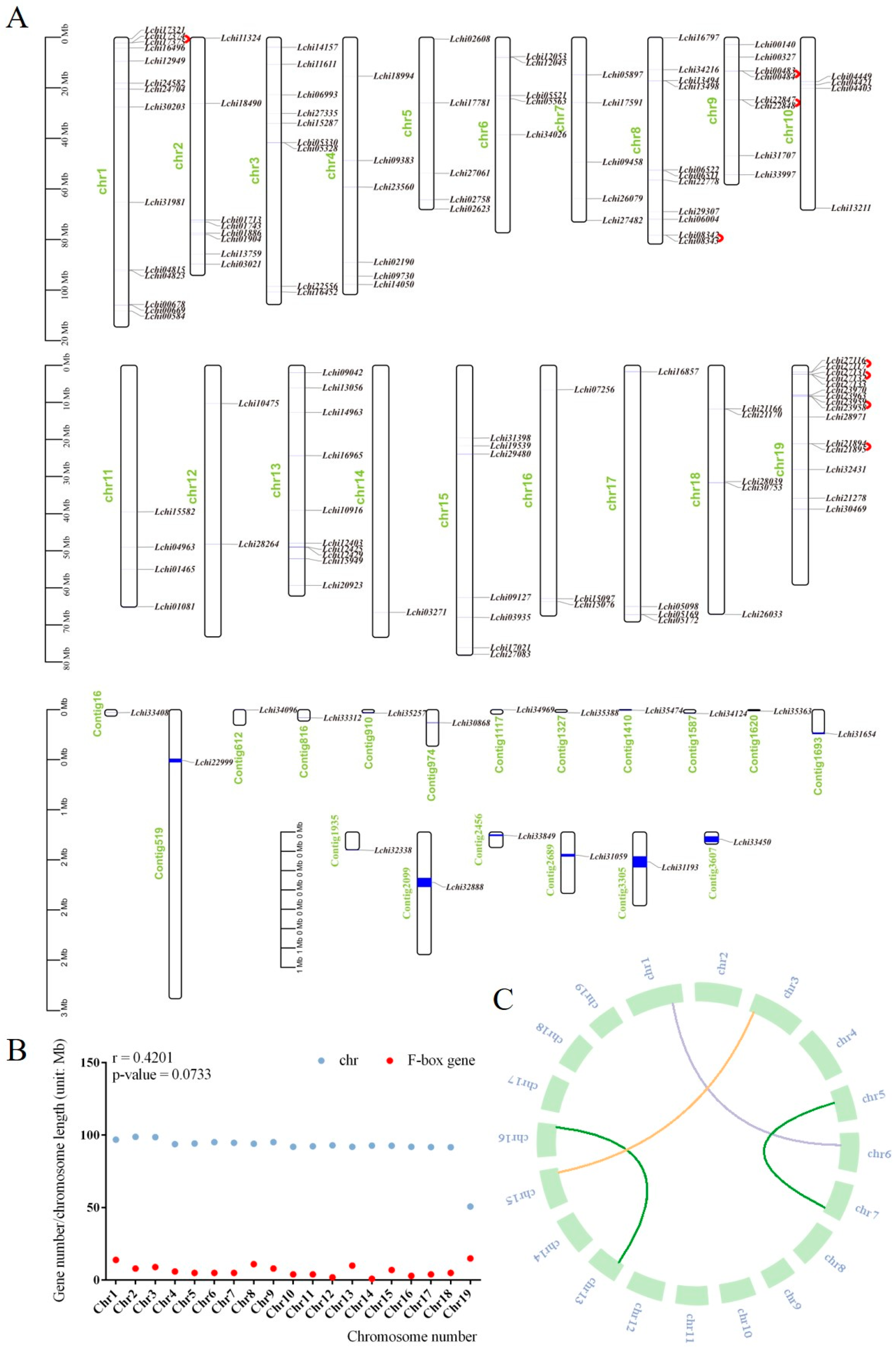 Plants 13 00171 g005