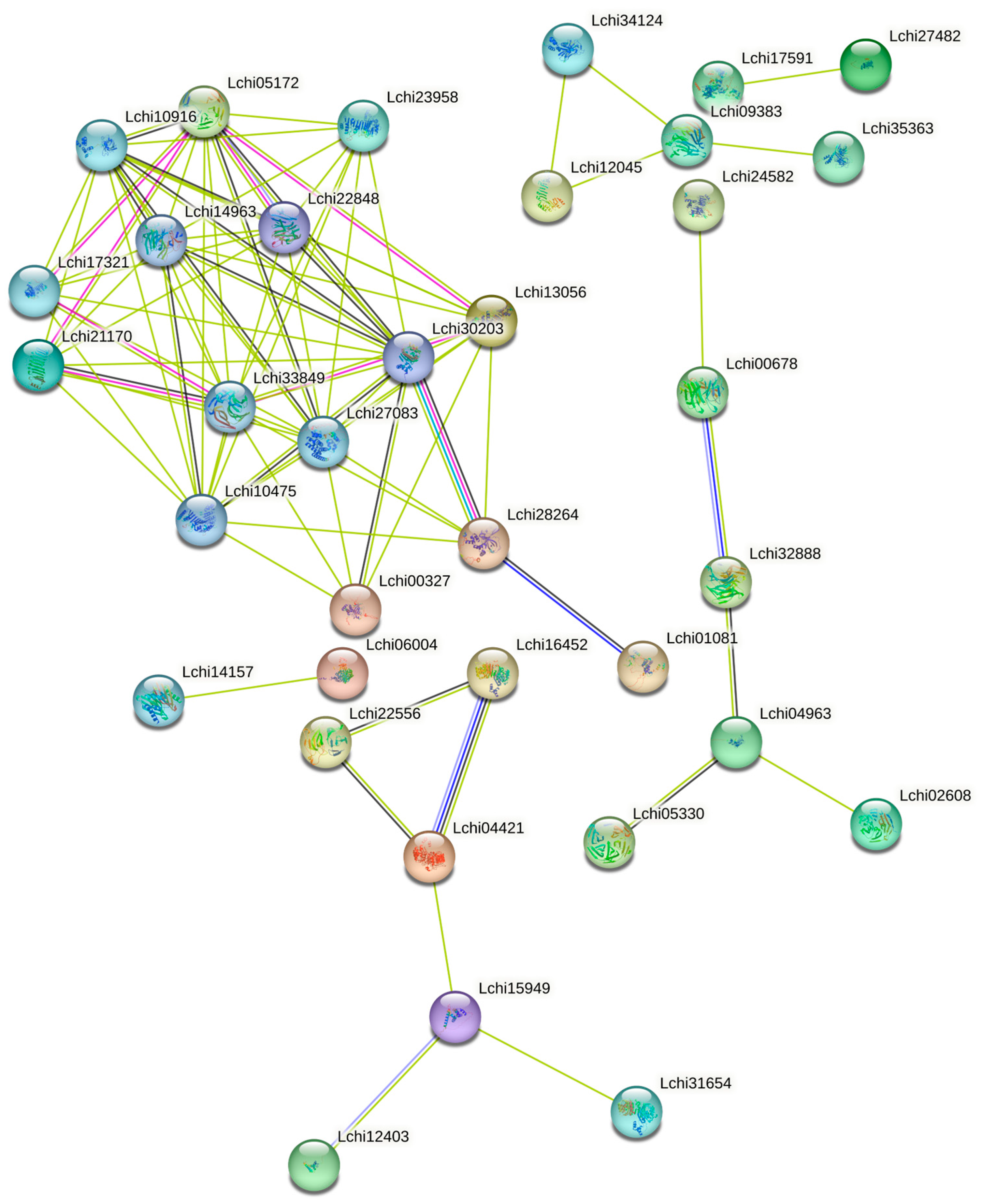 Plants 13 00171 g007