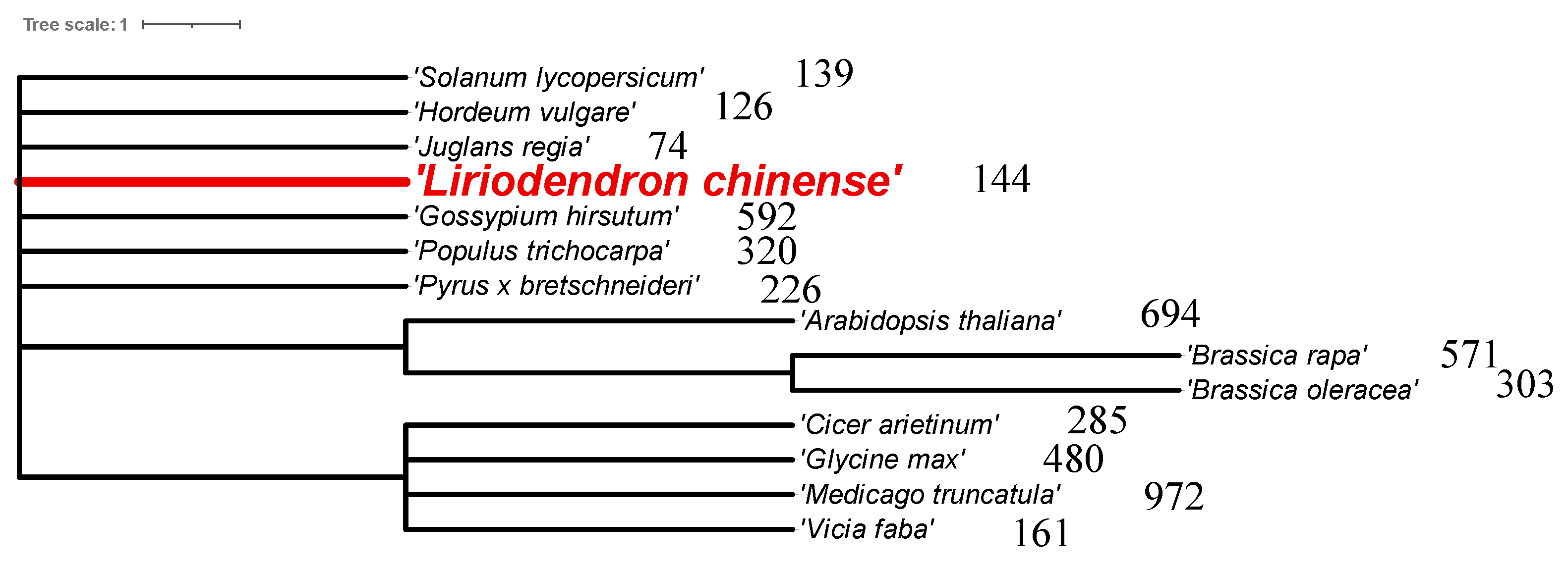 Plants 13 00171 g011