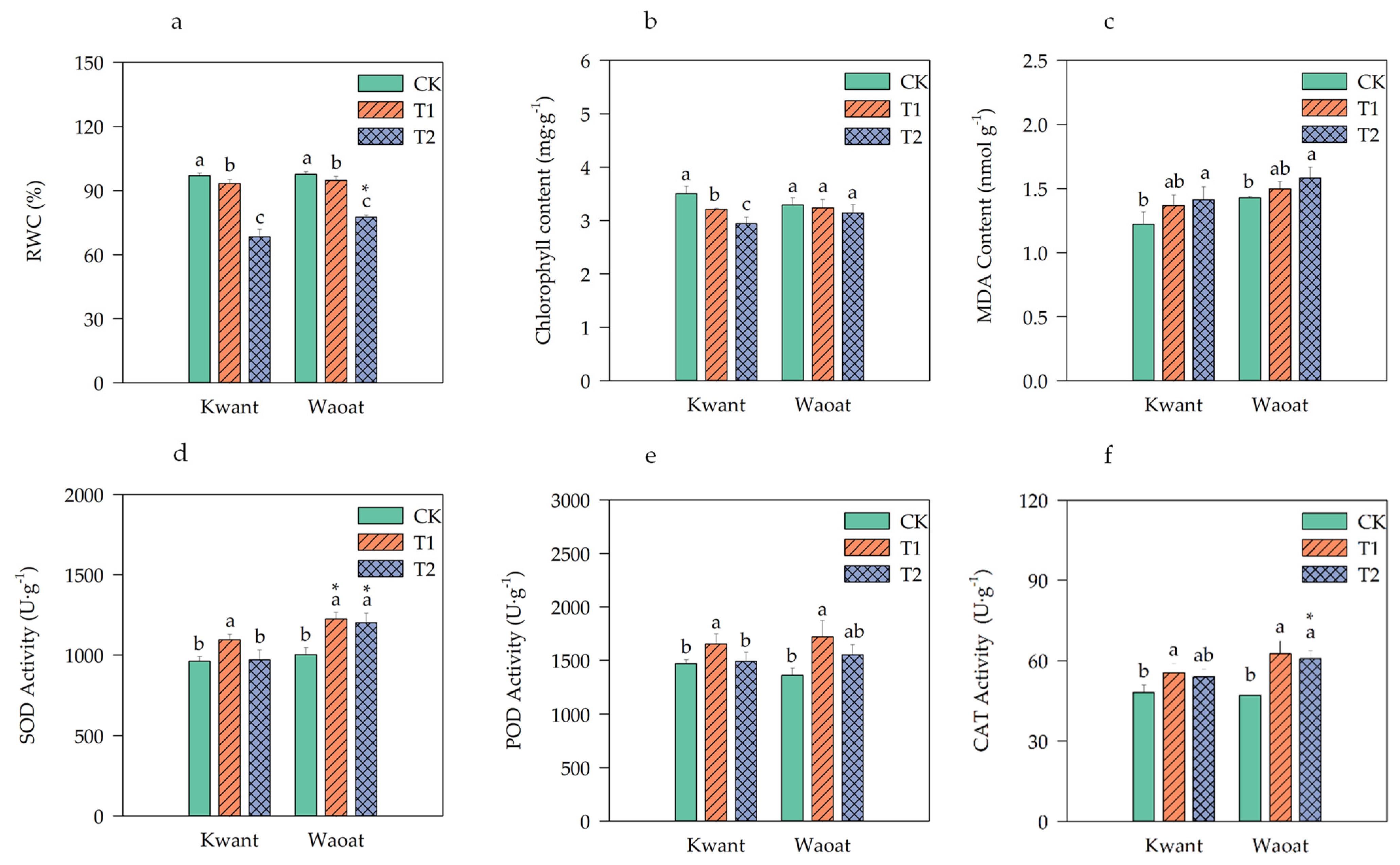 Plants 13 00177 g001
