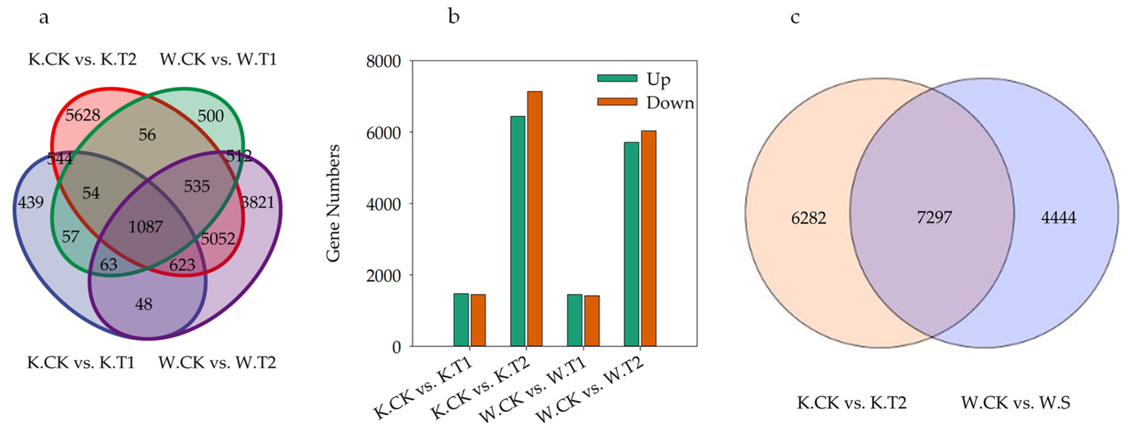 Plants 13 00177 g004
