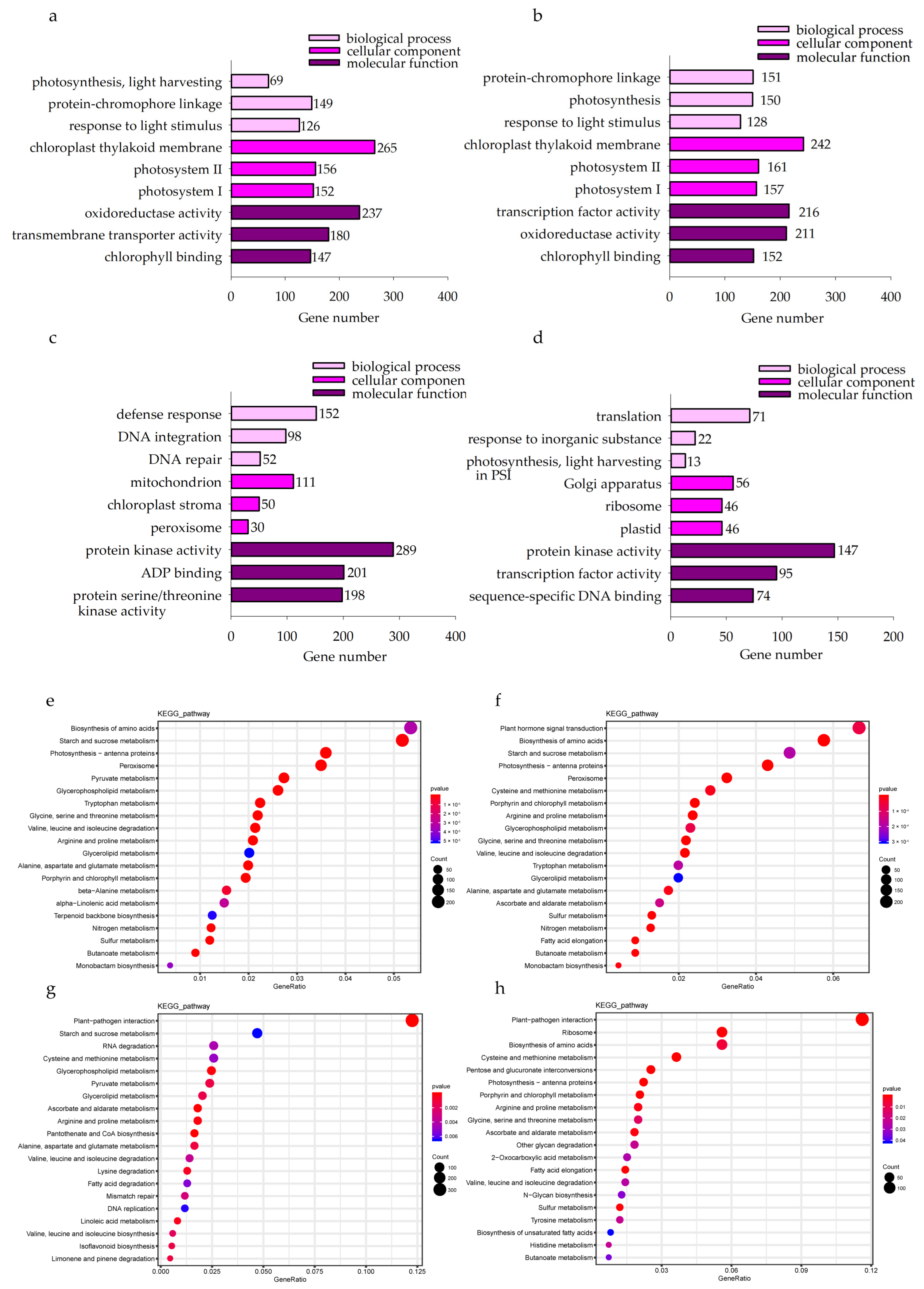 Plants 13 00177 g005