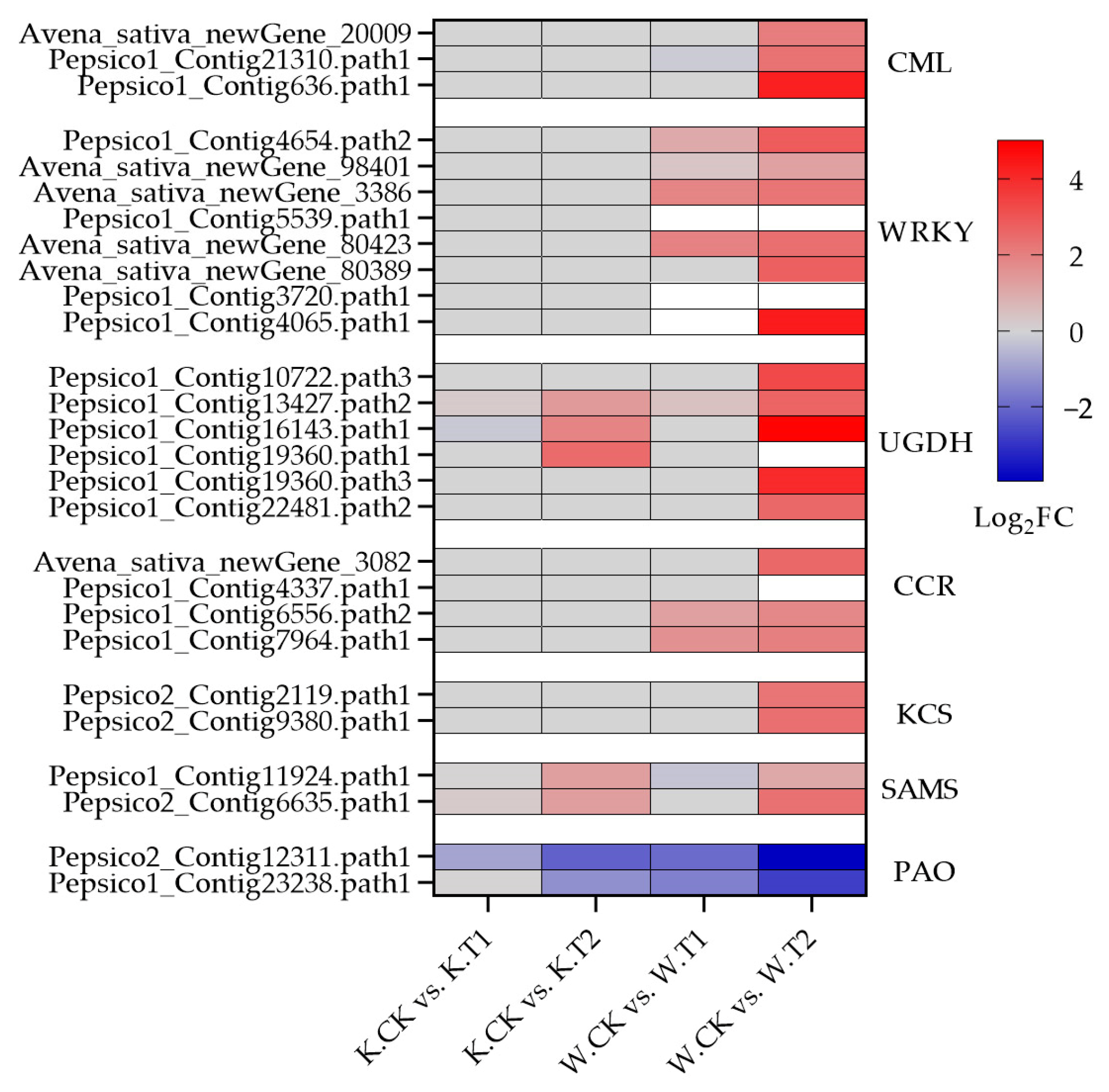 Plants 13 00177 g007