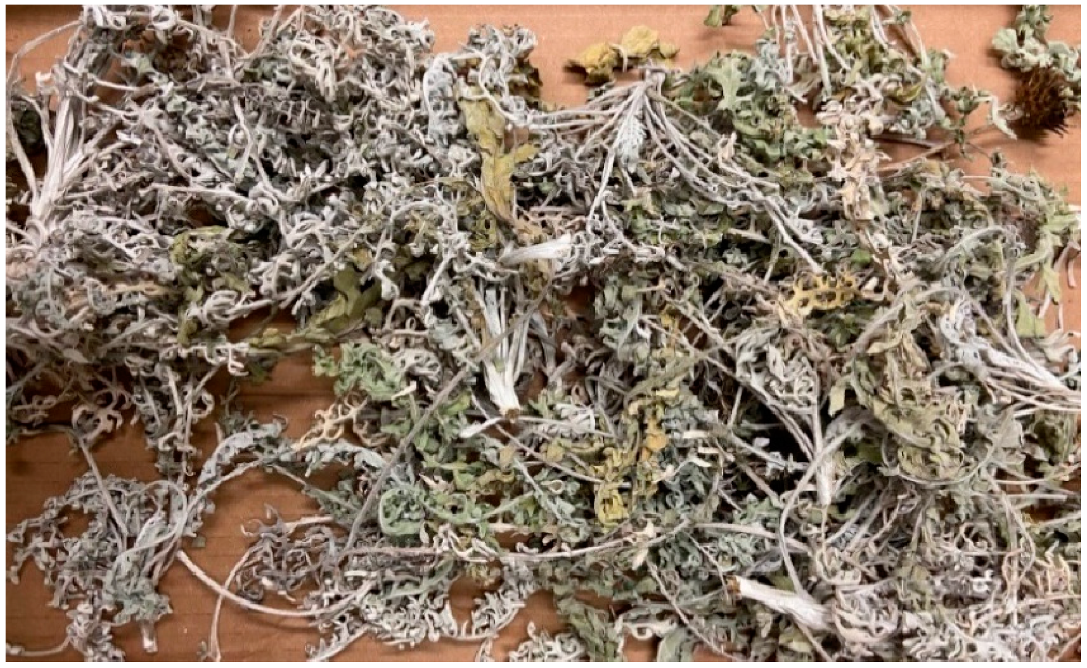 Plants 13 00178 g001 Plants 13 00178 g001