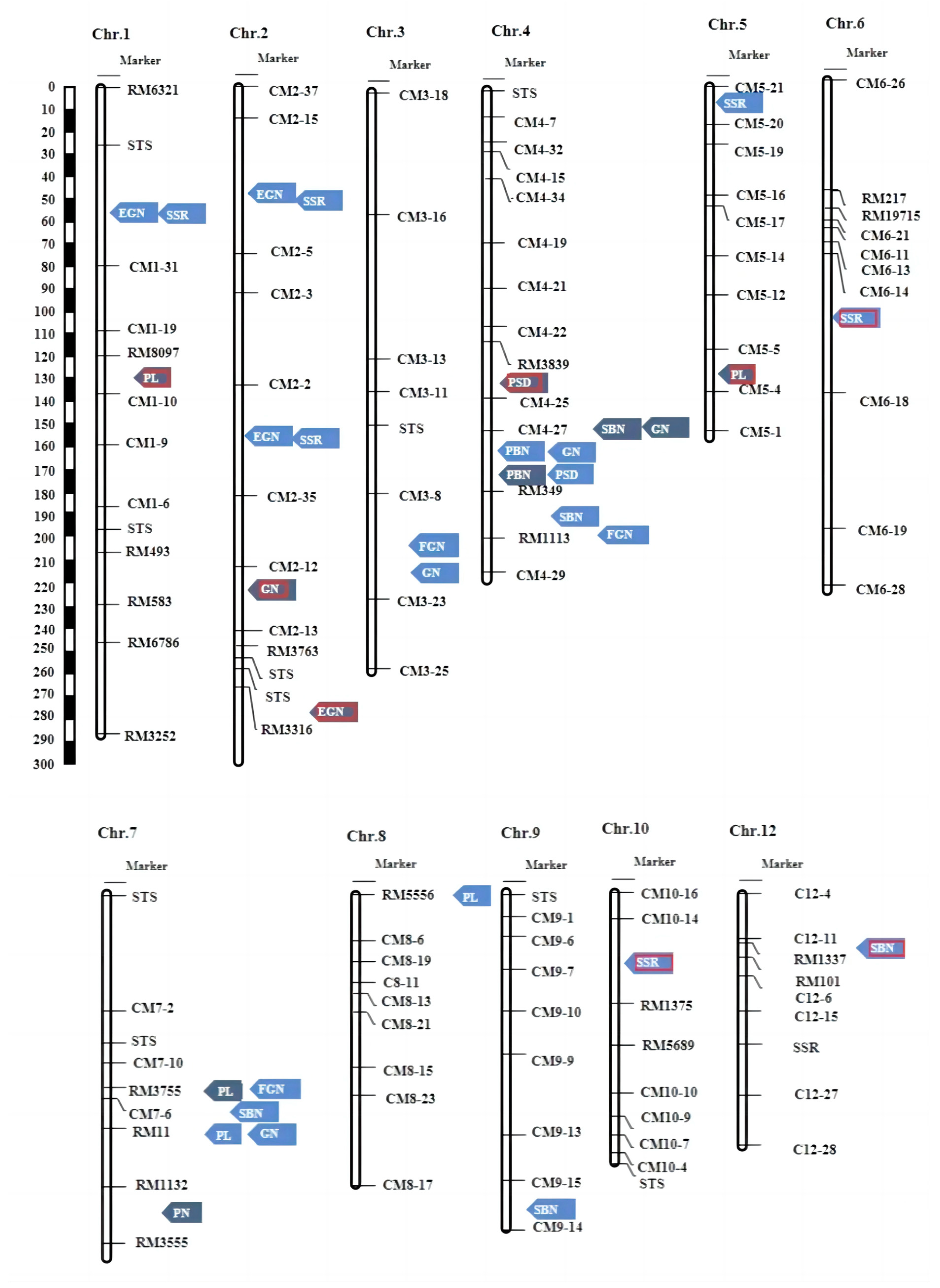 Plants 13 00179 g004