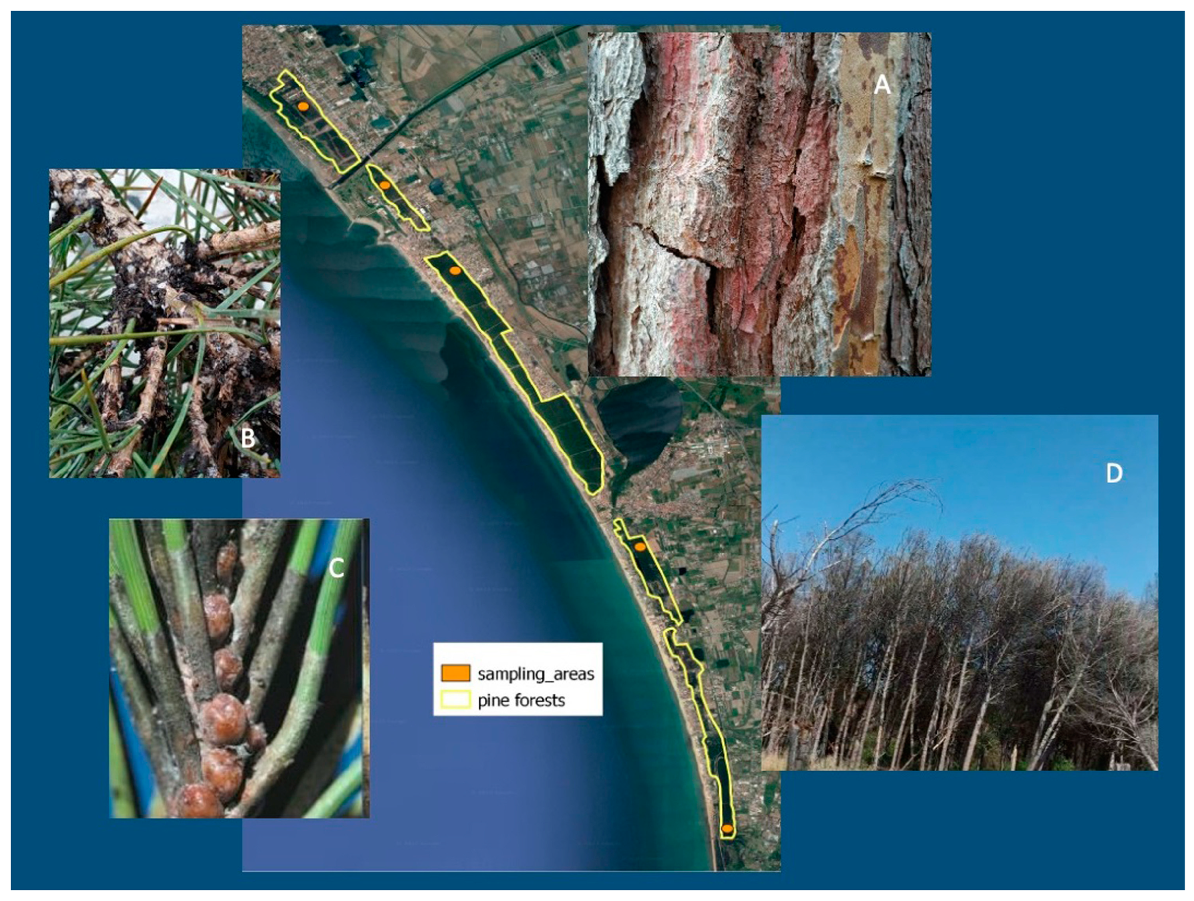 Plants 13 00182 g002