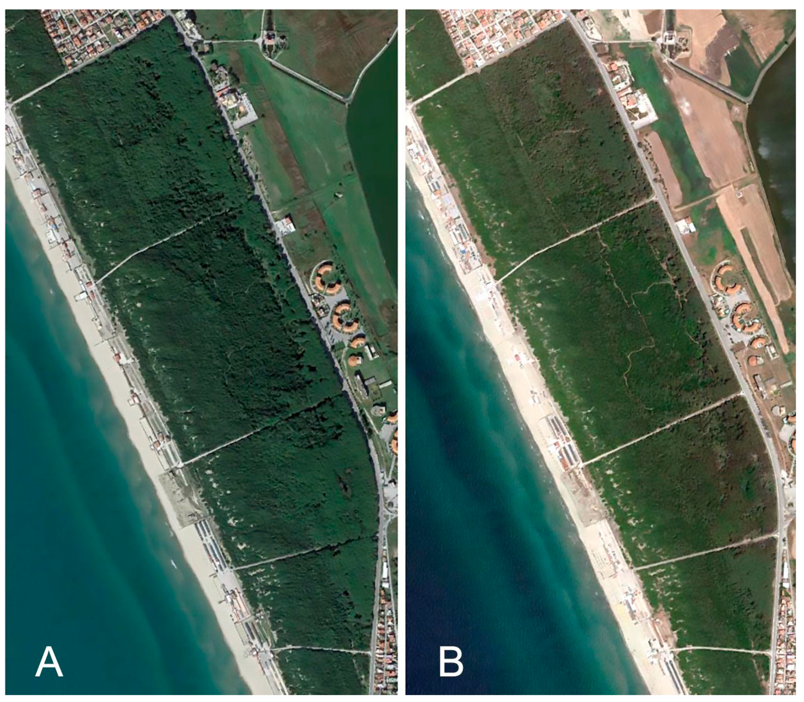 Plants 13 00182 g006