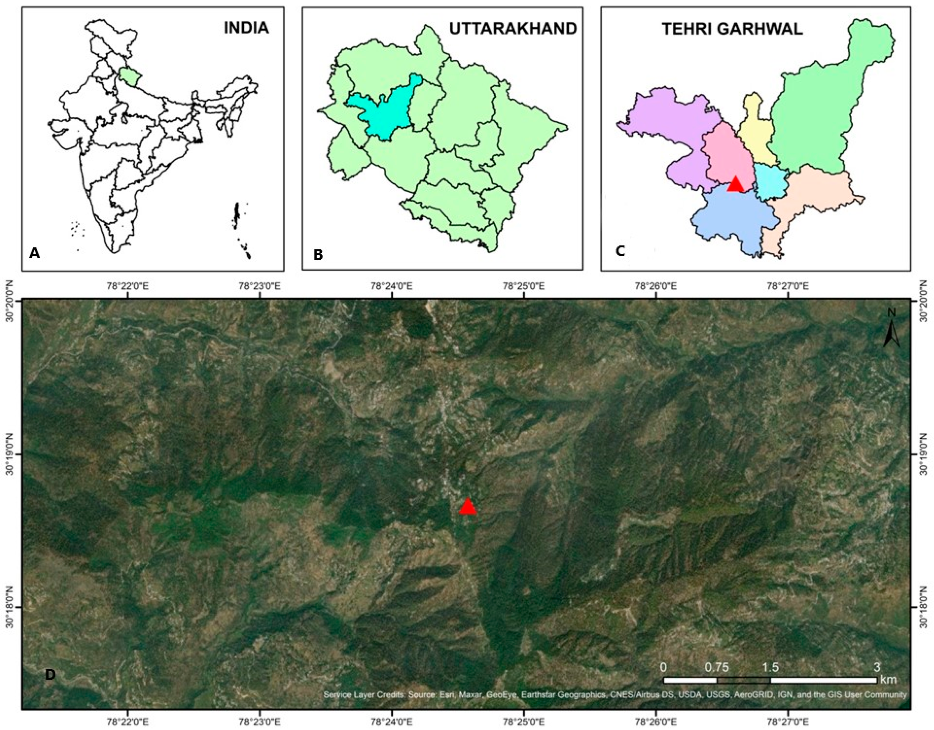 Plants 13 00183 g002