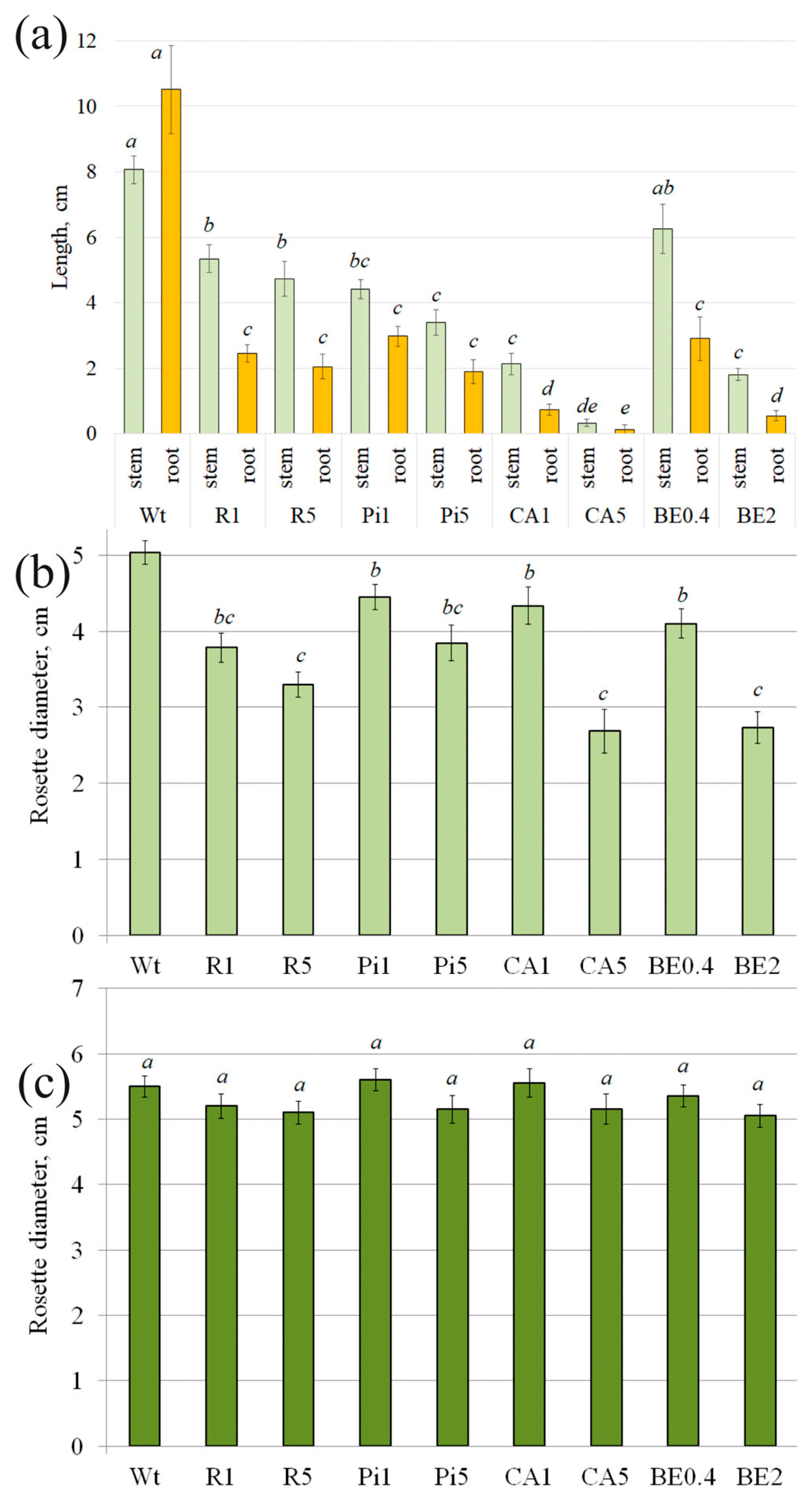 Plants 13 00184 g002