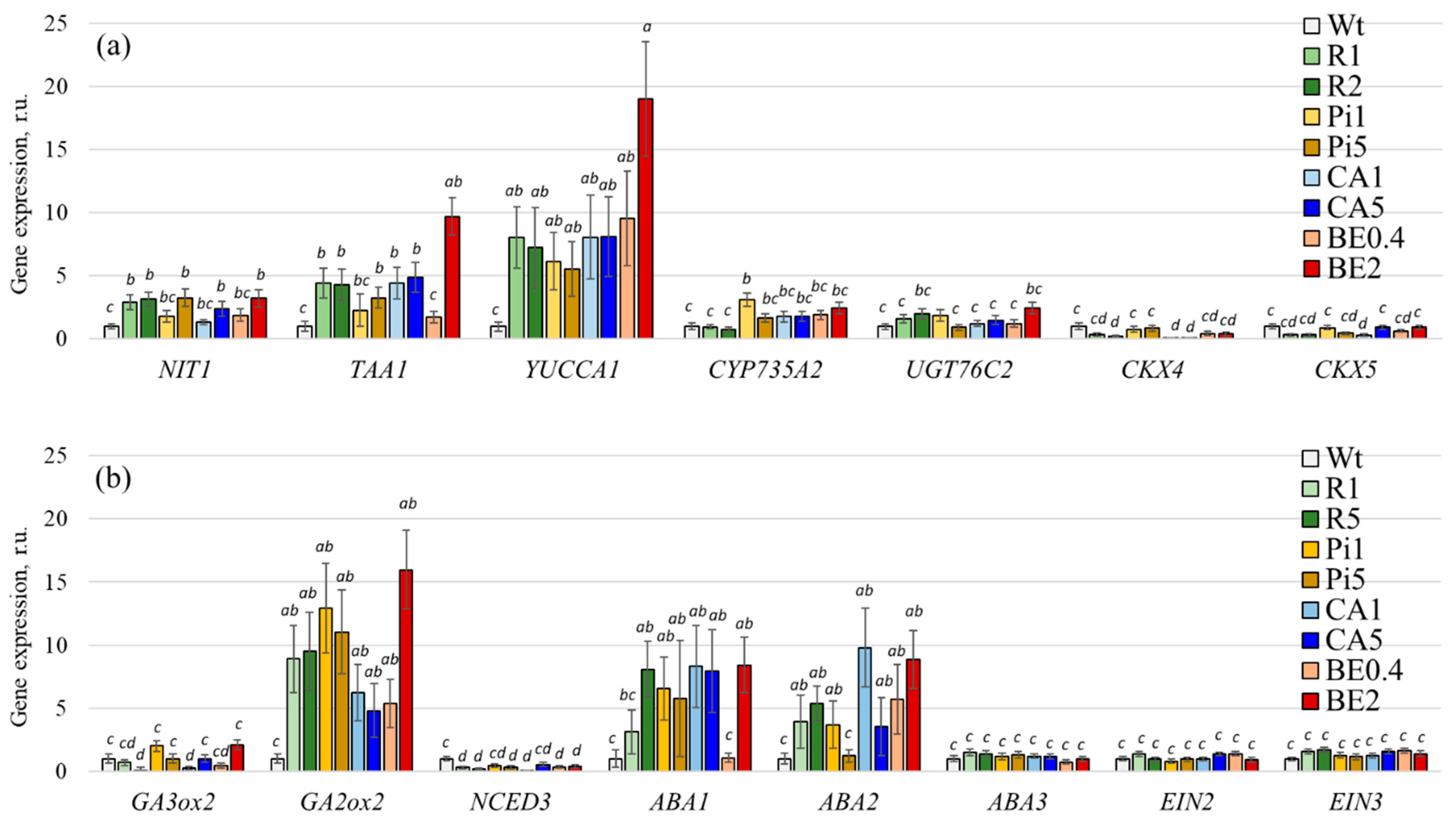 Plants 13 00184 g004