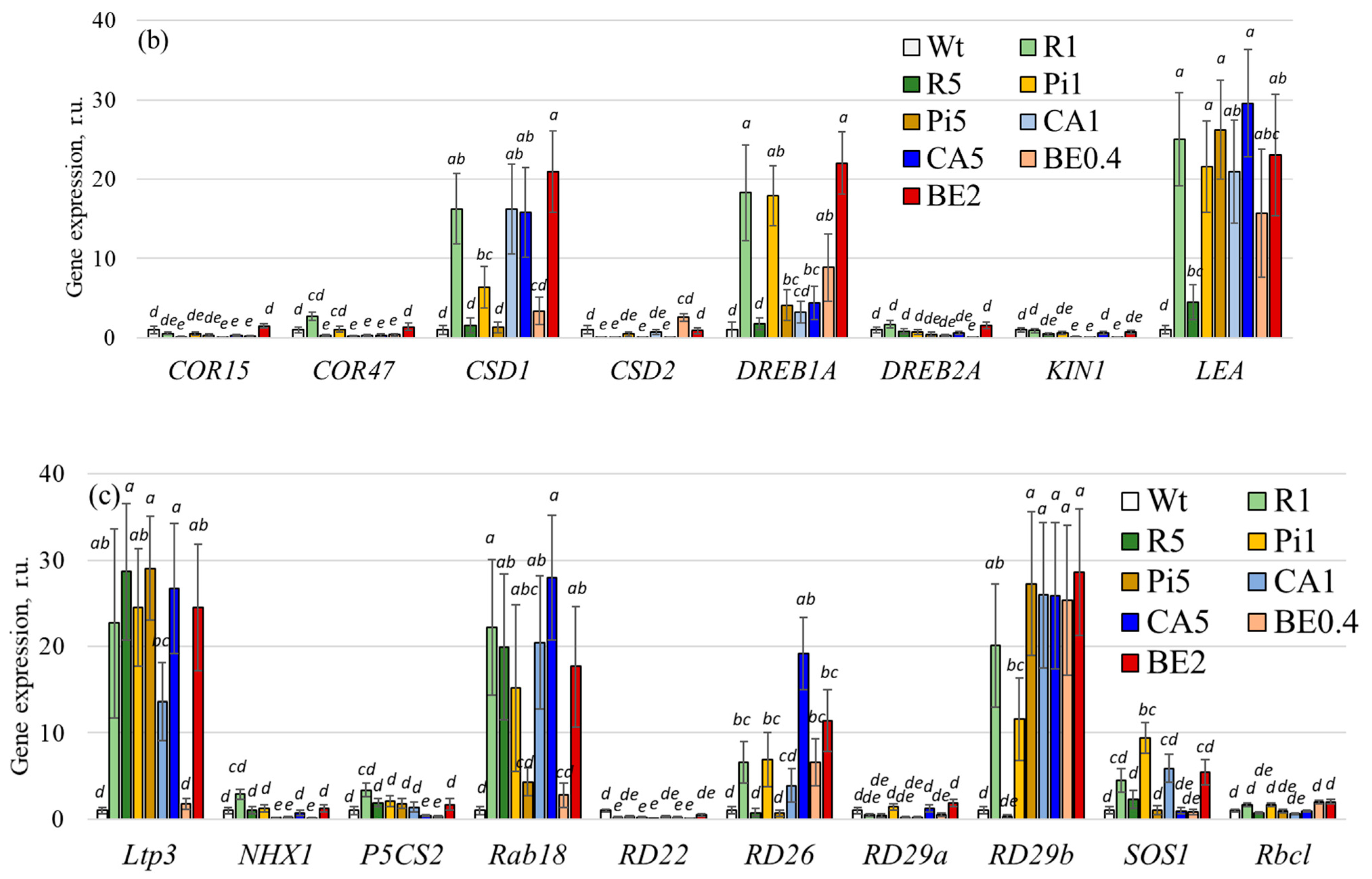 Plants 13 00184 g005b
