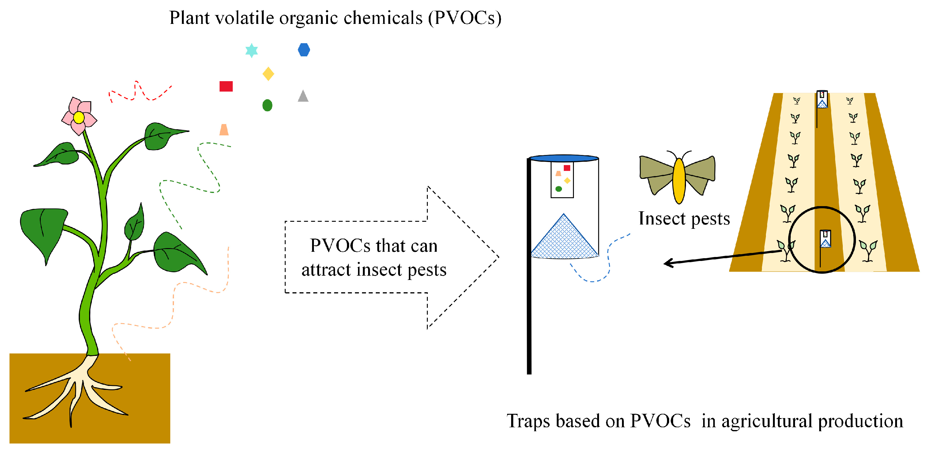 Plants 13 00185 g003