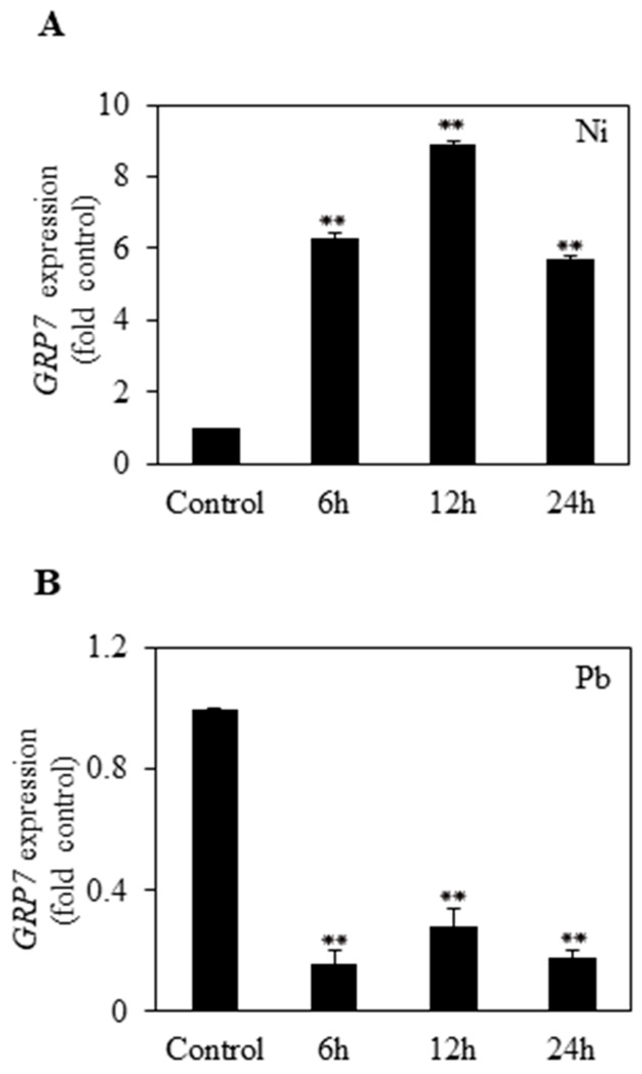 Plants 13 00187 g001
