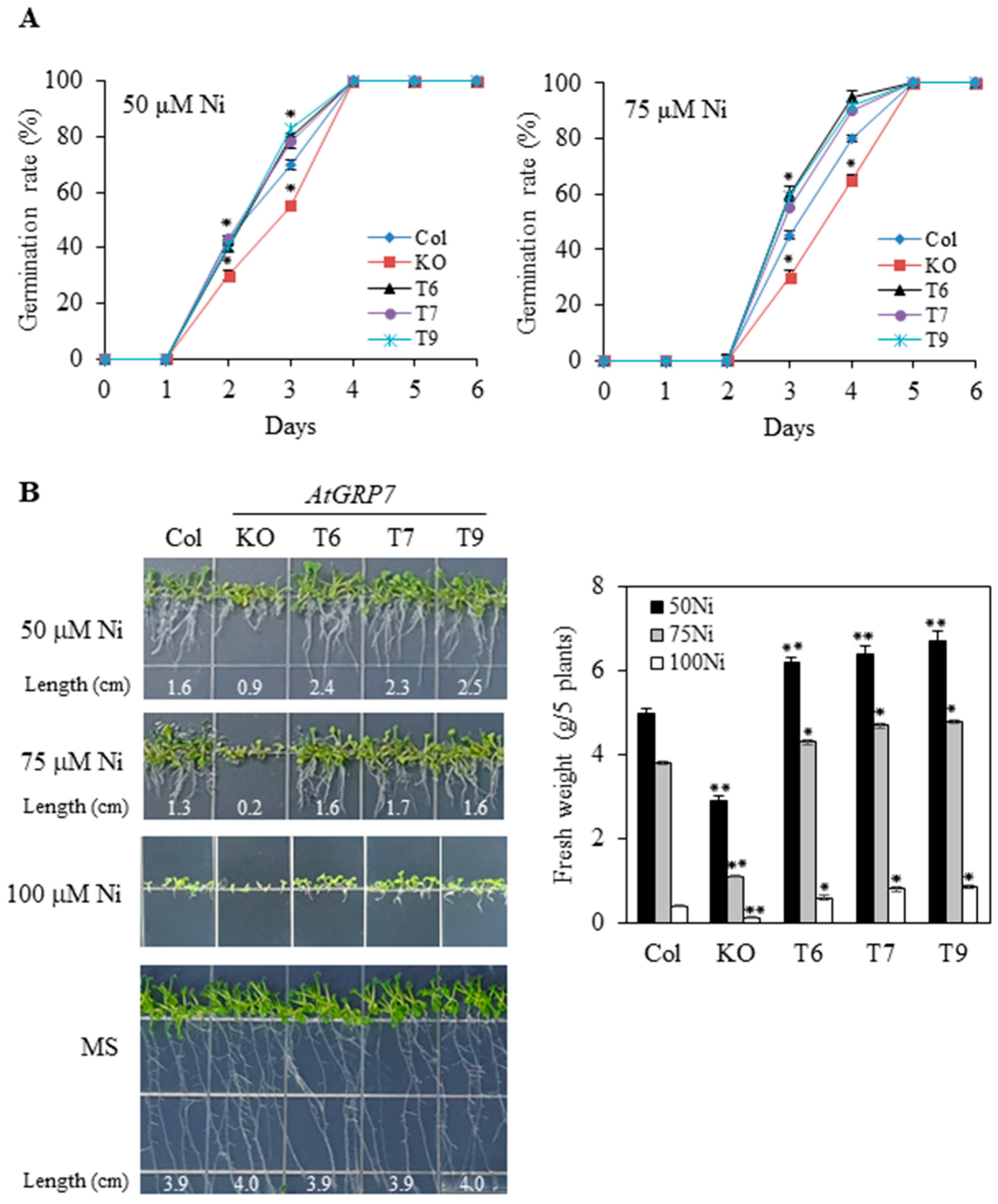 Plants 13 00187 g002