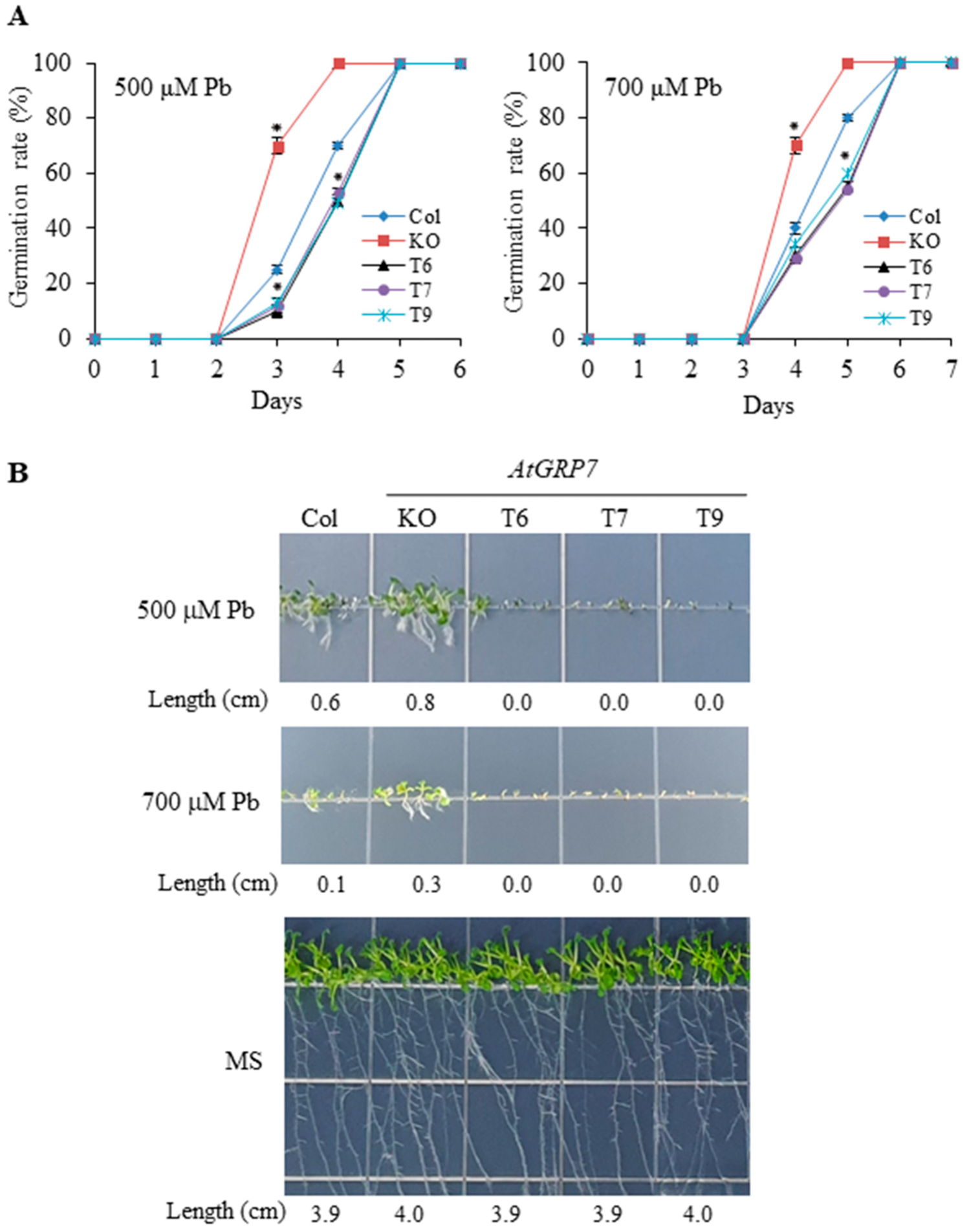 Plants 13 00187 g003