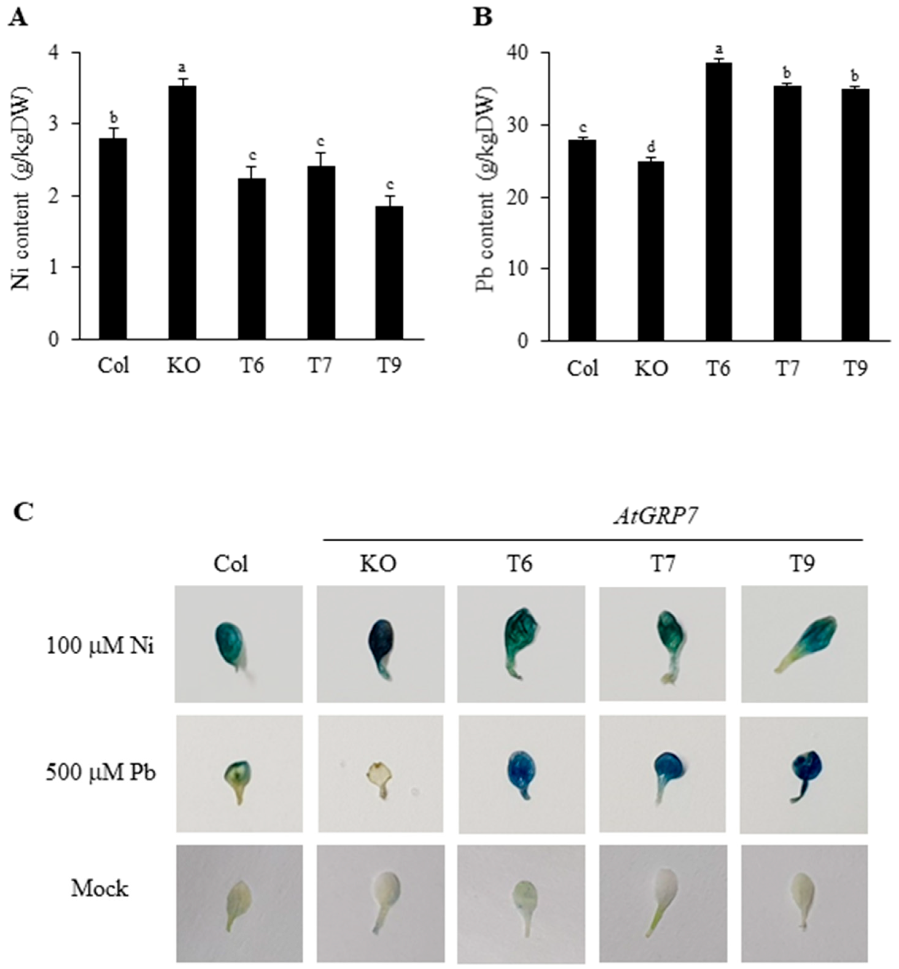 Plants 13 00187 g004