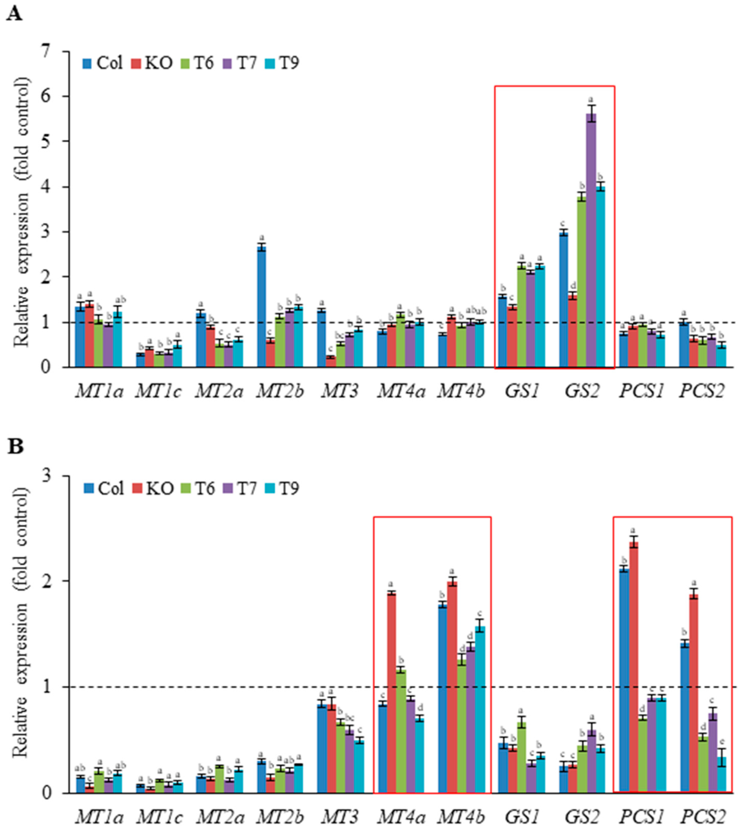Plants 13 00187 g005