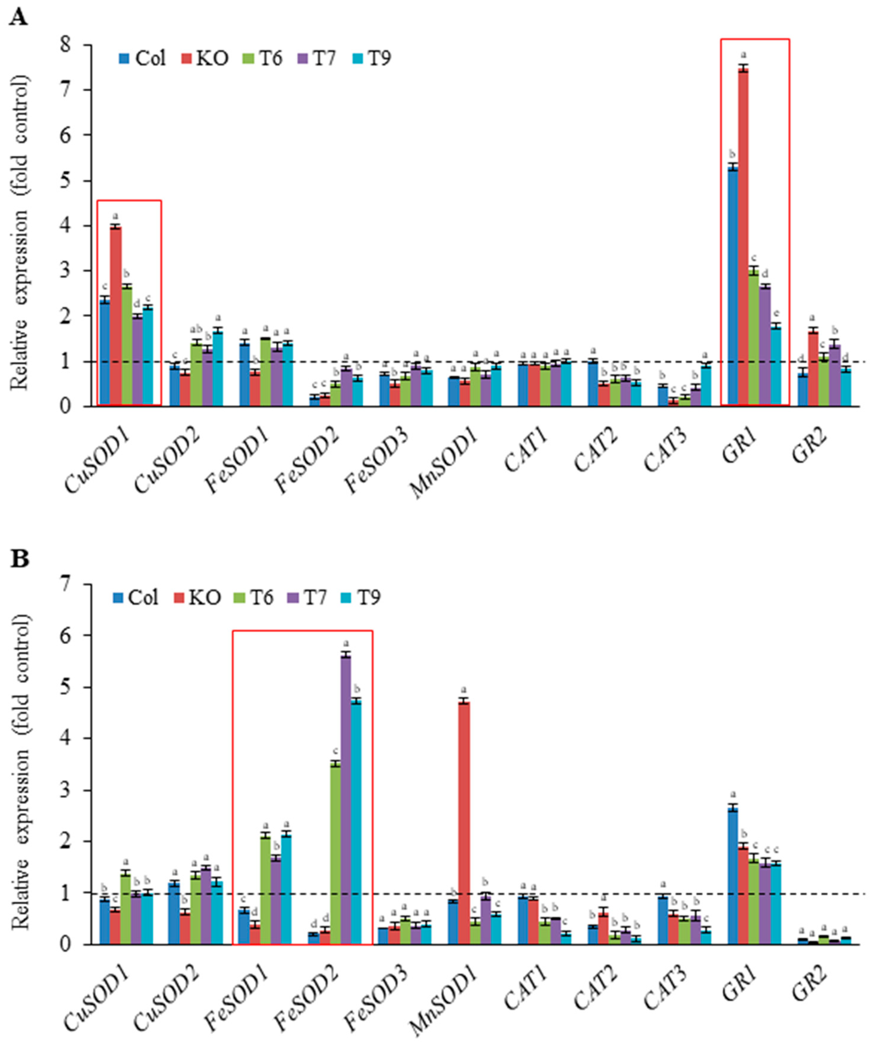 Plants 13 00187 g006