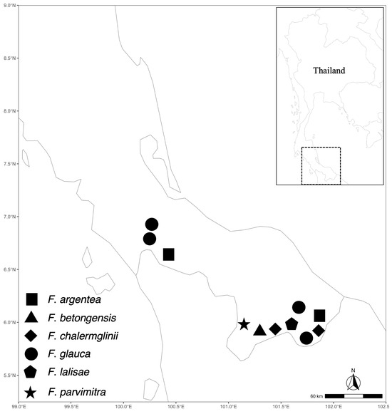 Plants 13 00189 g003