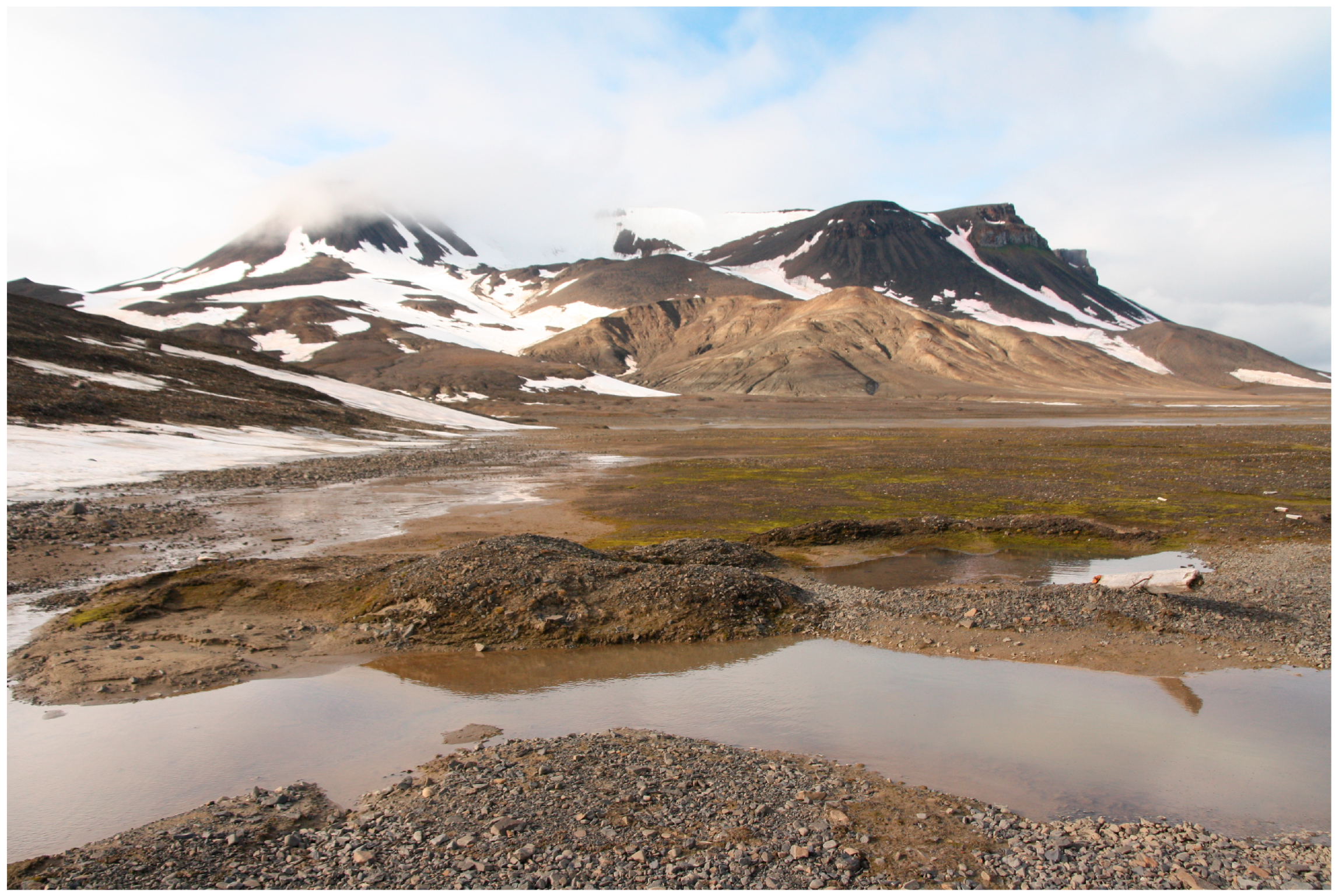 Plants 13 00193 g002