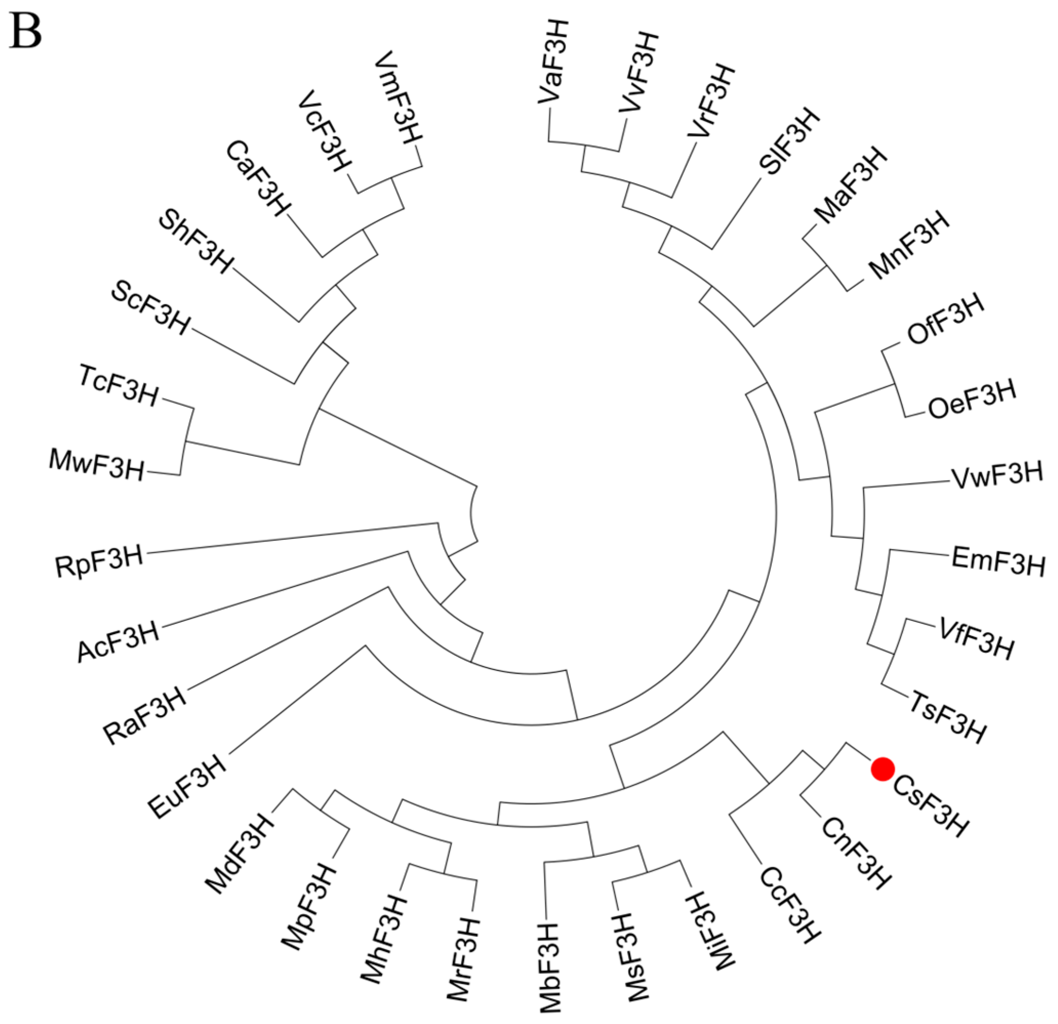 Plants 13 00196 g003b