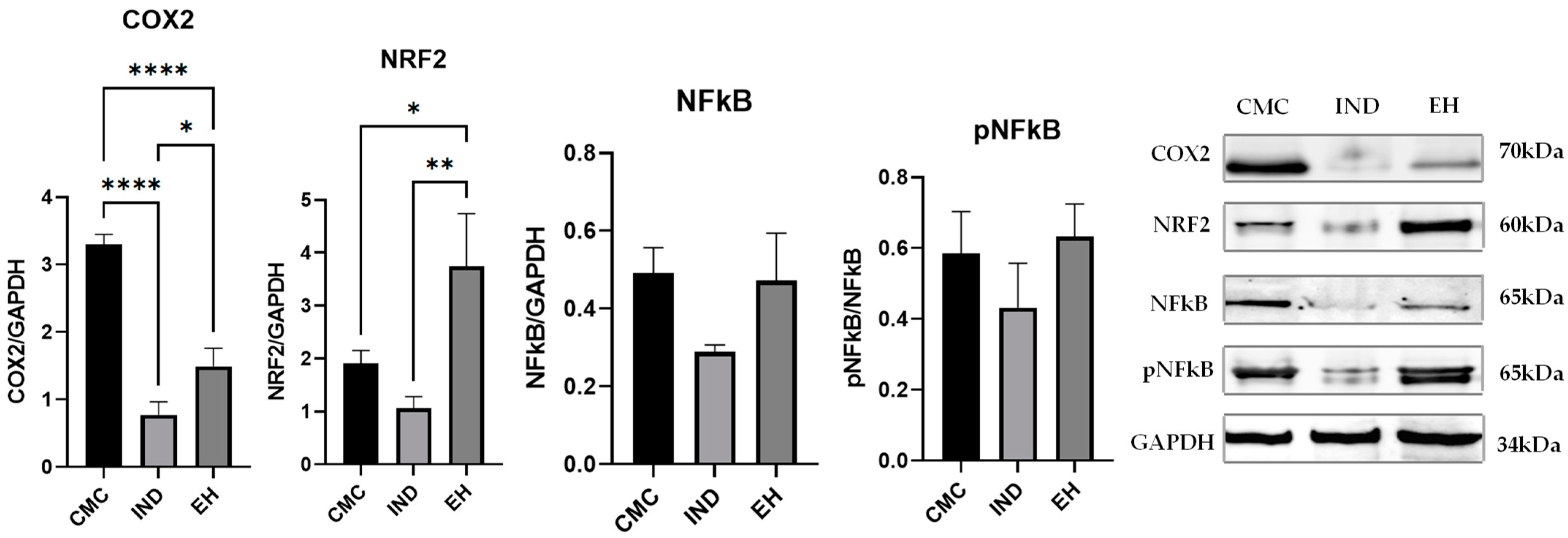 Plants 13 00198 g001
